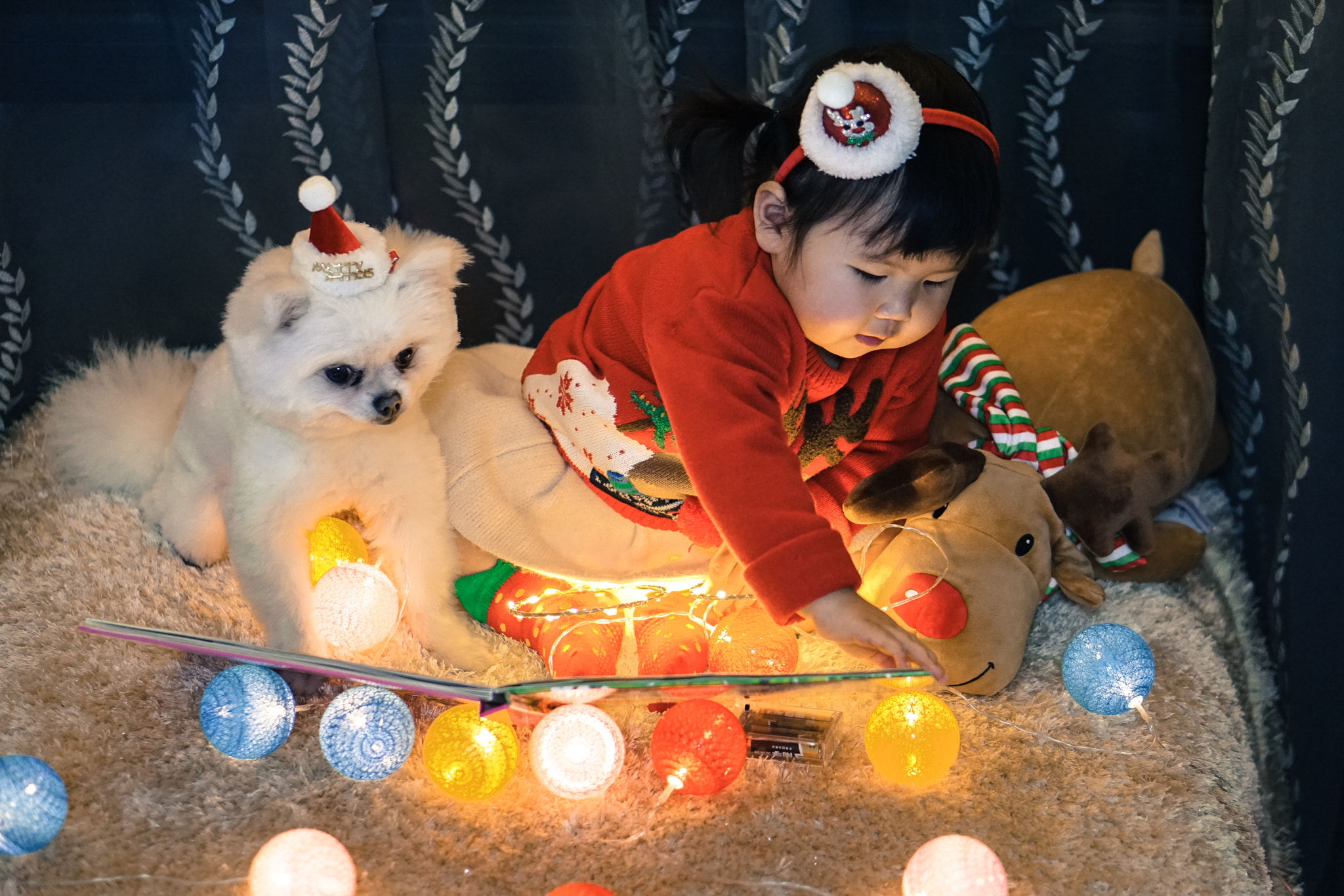 Sony a5100 + E 50mm F1.8 OSS sample photo