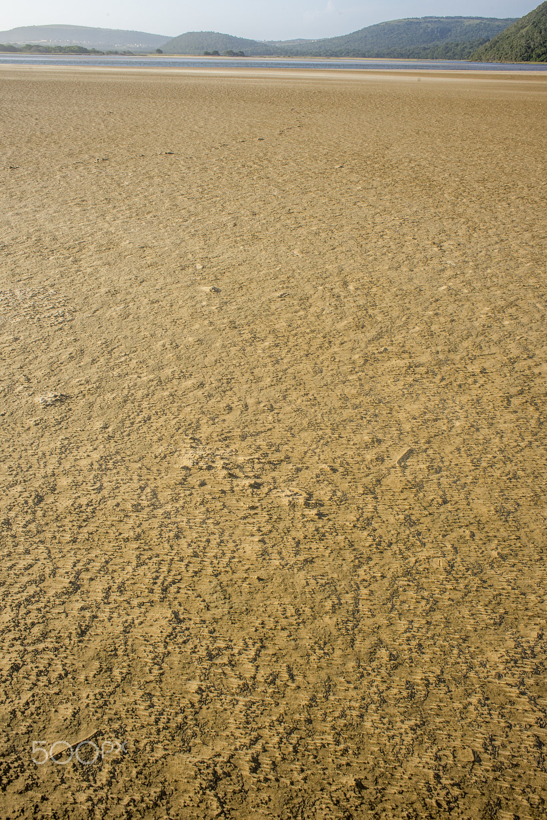 Nikon D600 sample photo. Textured sea sand by river mouth photography
