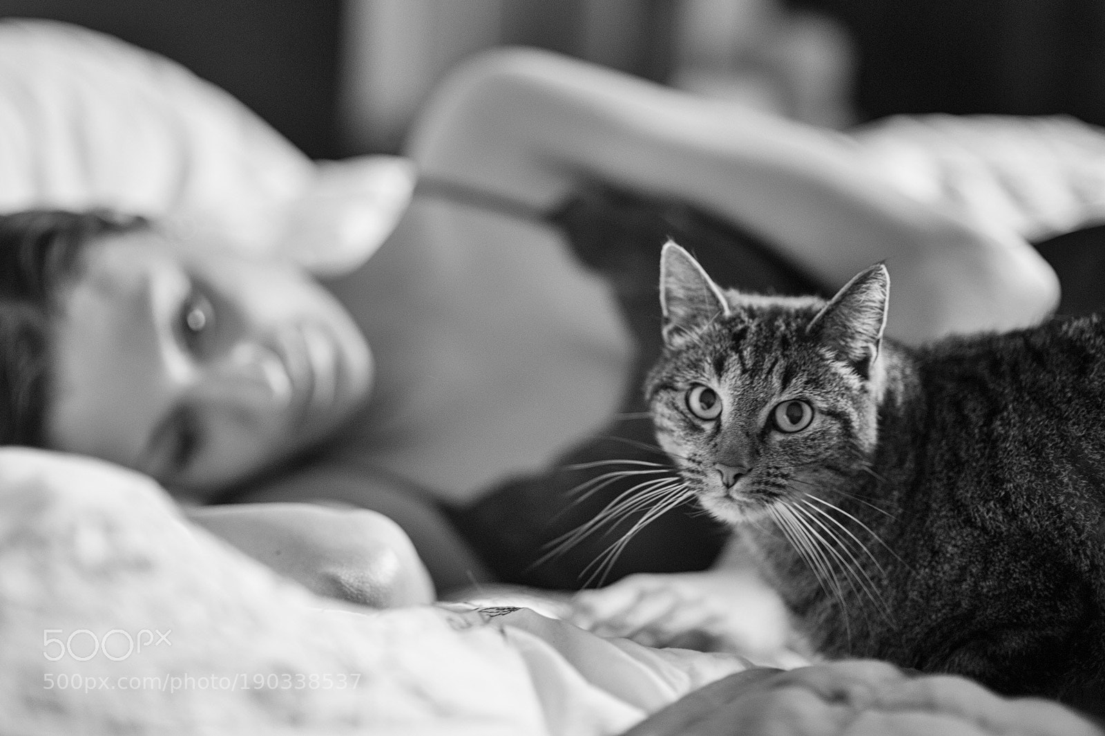 Nikon D700 sample photo. Edit photography
