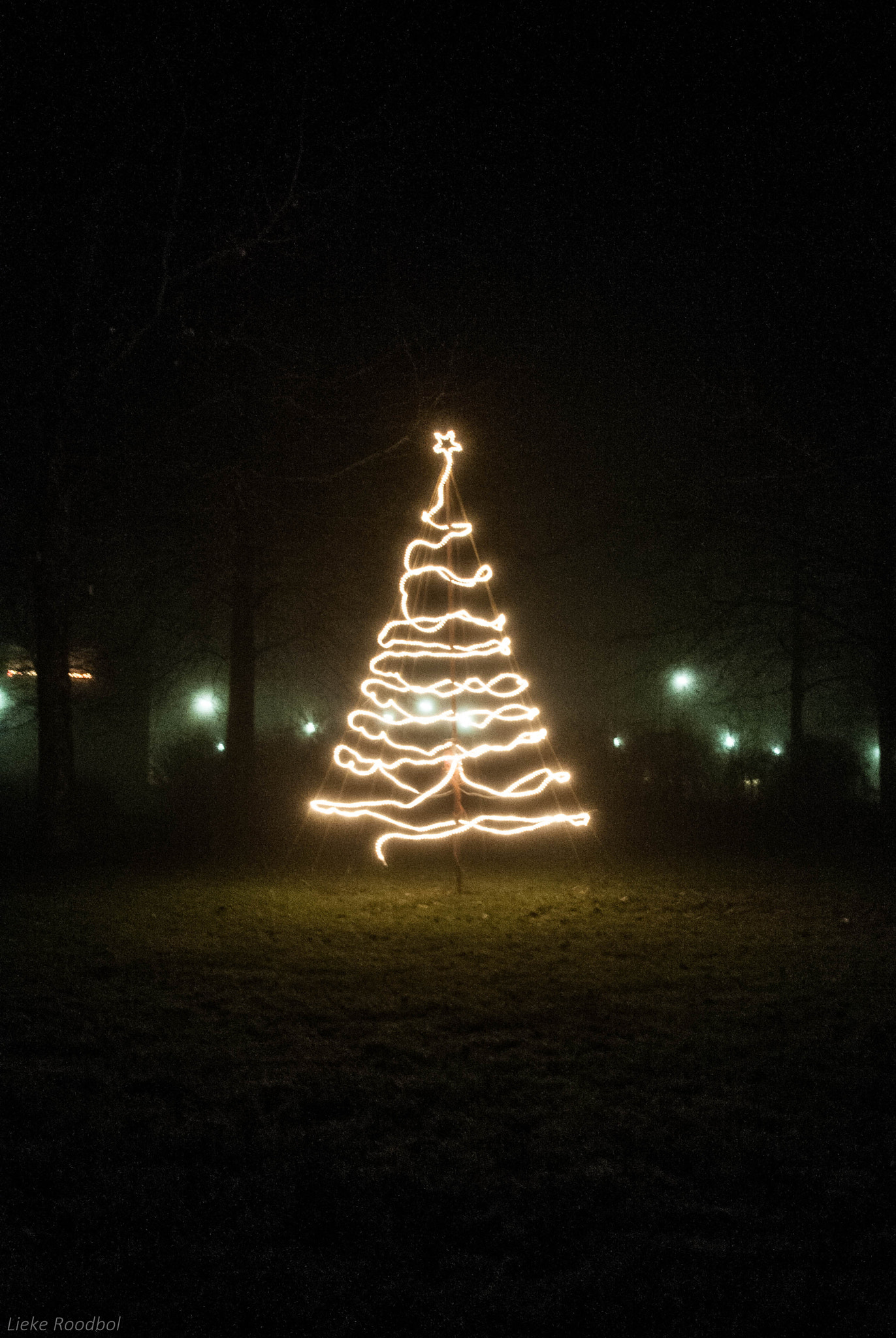 Nikon D300 + Sigma 17-70mm F2.8-4.5 DC Macro Asp. IF sample photo. Christmas tree in the park photography