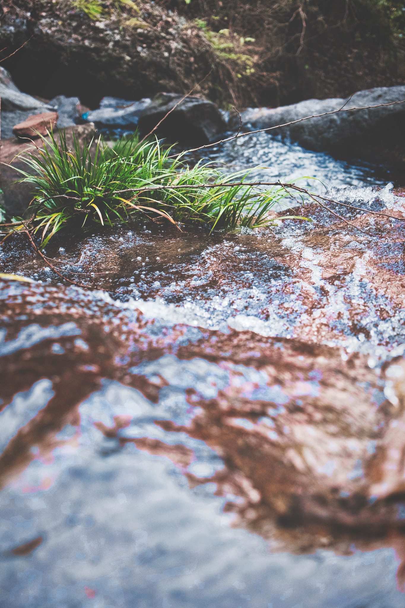 Sony Vario Tessar T* FE 24-70mm F4 ZA OSS sample photo. River in the nature photography