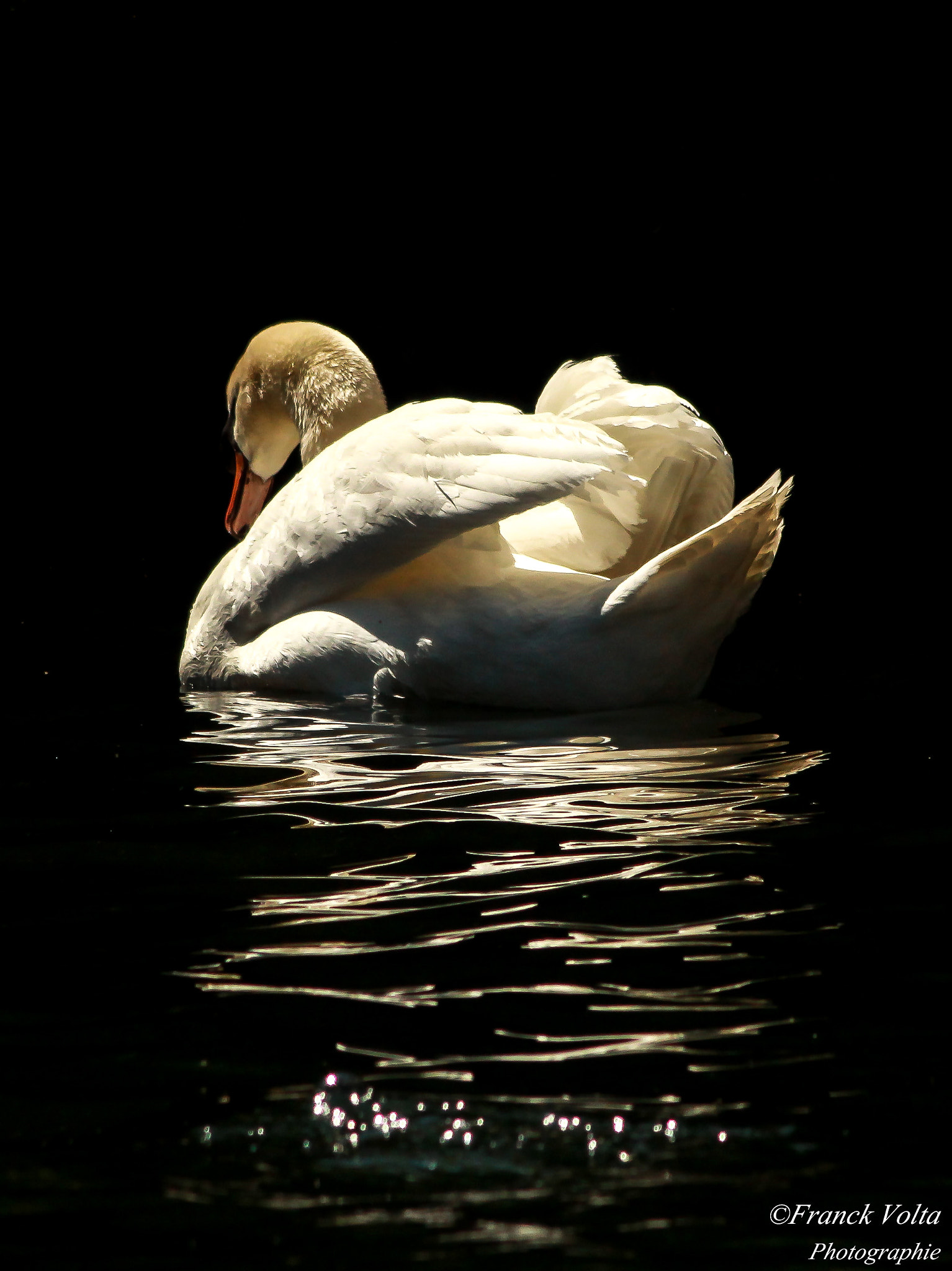 Canon EF 90-300mm F4.5-5.6 sample photo. 4.jpg photography