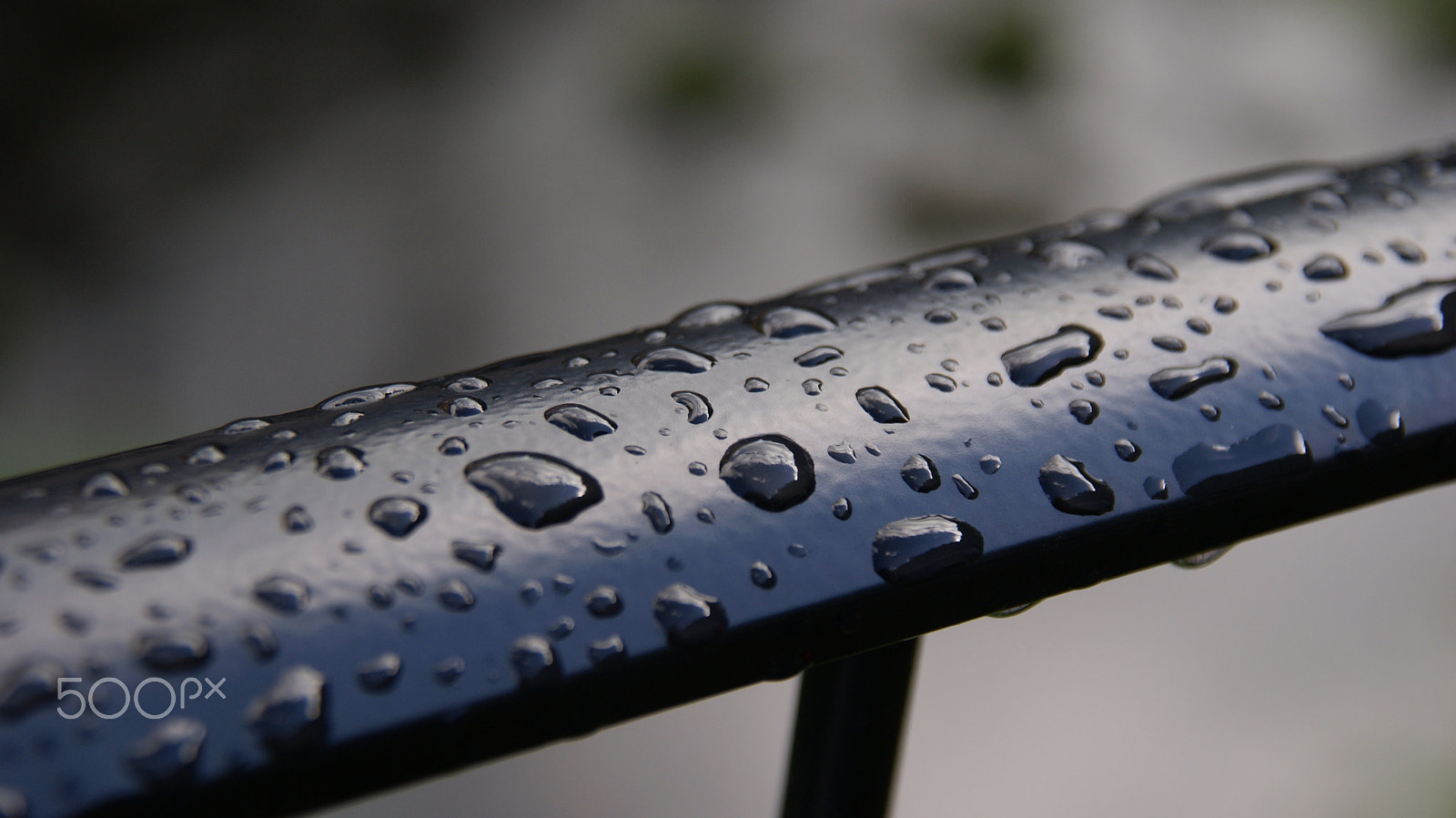 Sony Alpha DSLR-A300 sample photo. Close-up raindrops photography