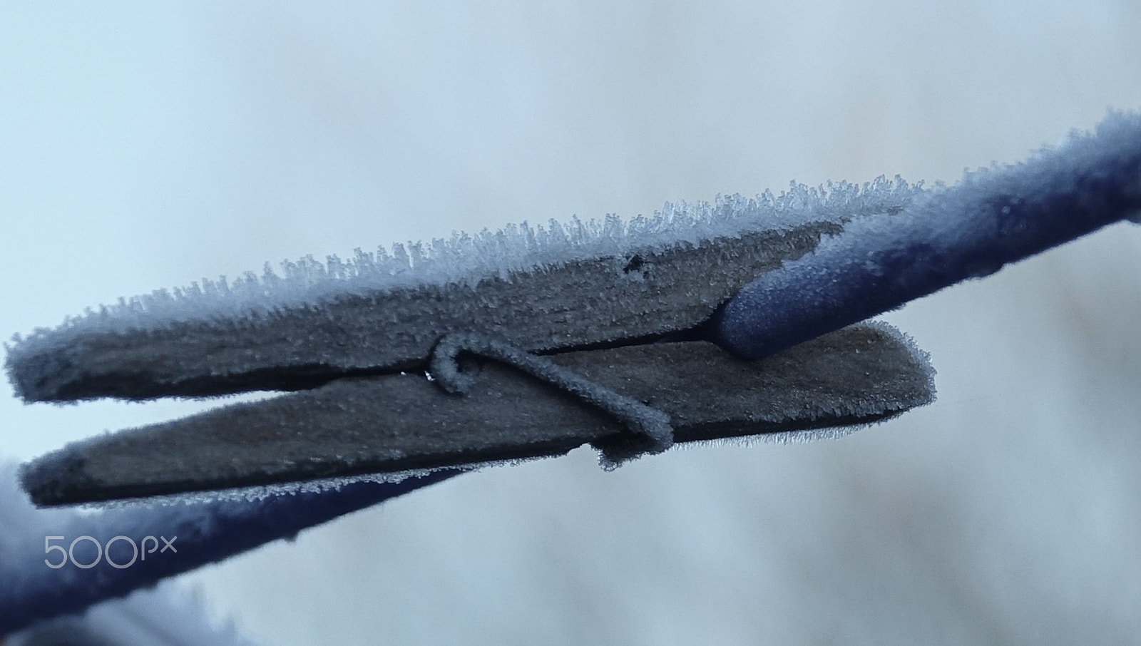 Sony 24-600mm F2.4-4.0 sample photo. The old peg.. ( left out in the cold ) photography