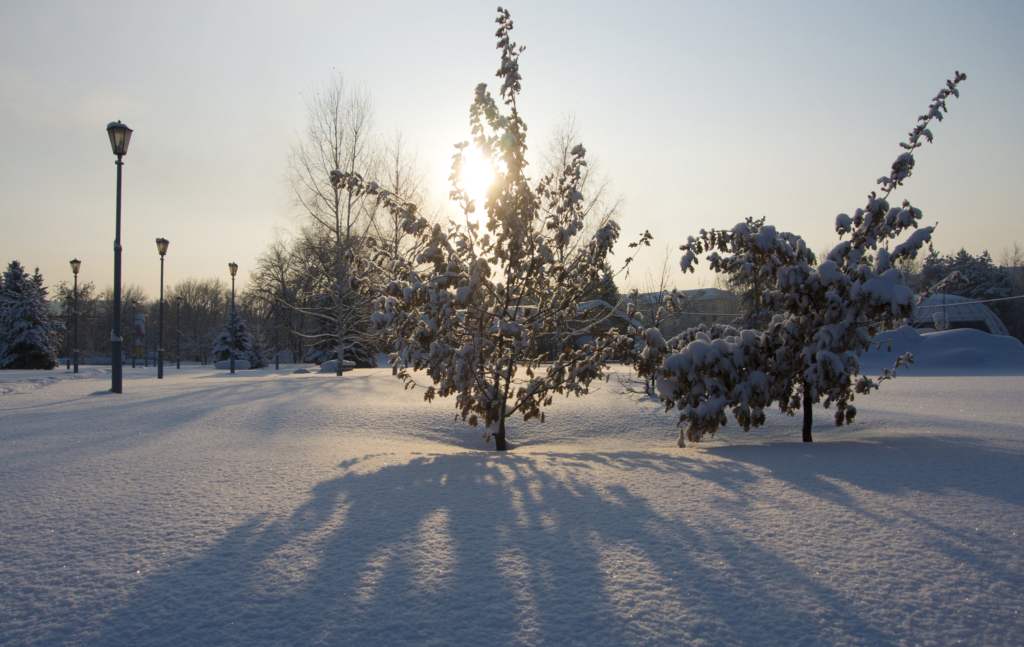 Nikon 1 Nikkor VR 10-30mm F3.5-5.6 sample photo. Дубки photography