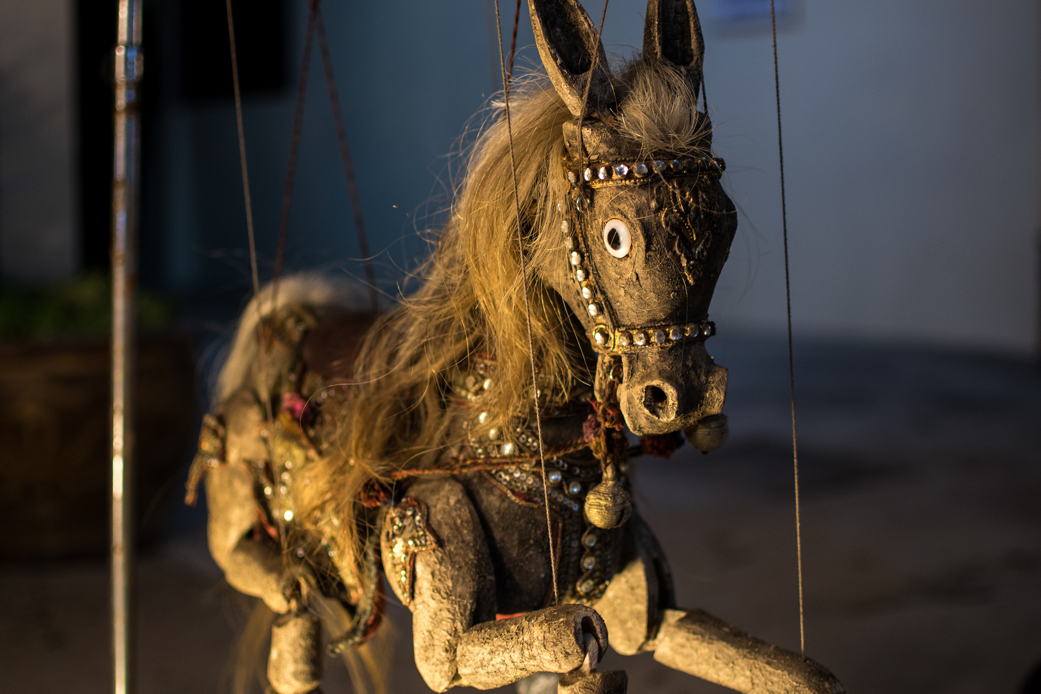 Nikon D500 + Nikon AF-S DX Nikkor 35mm F1.8G sample photo. Attic horse photography