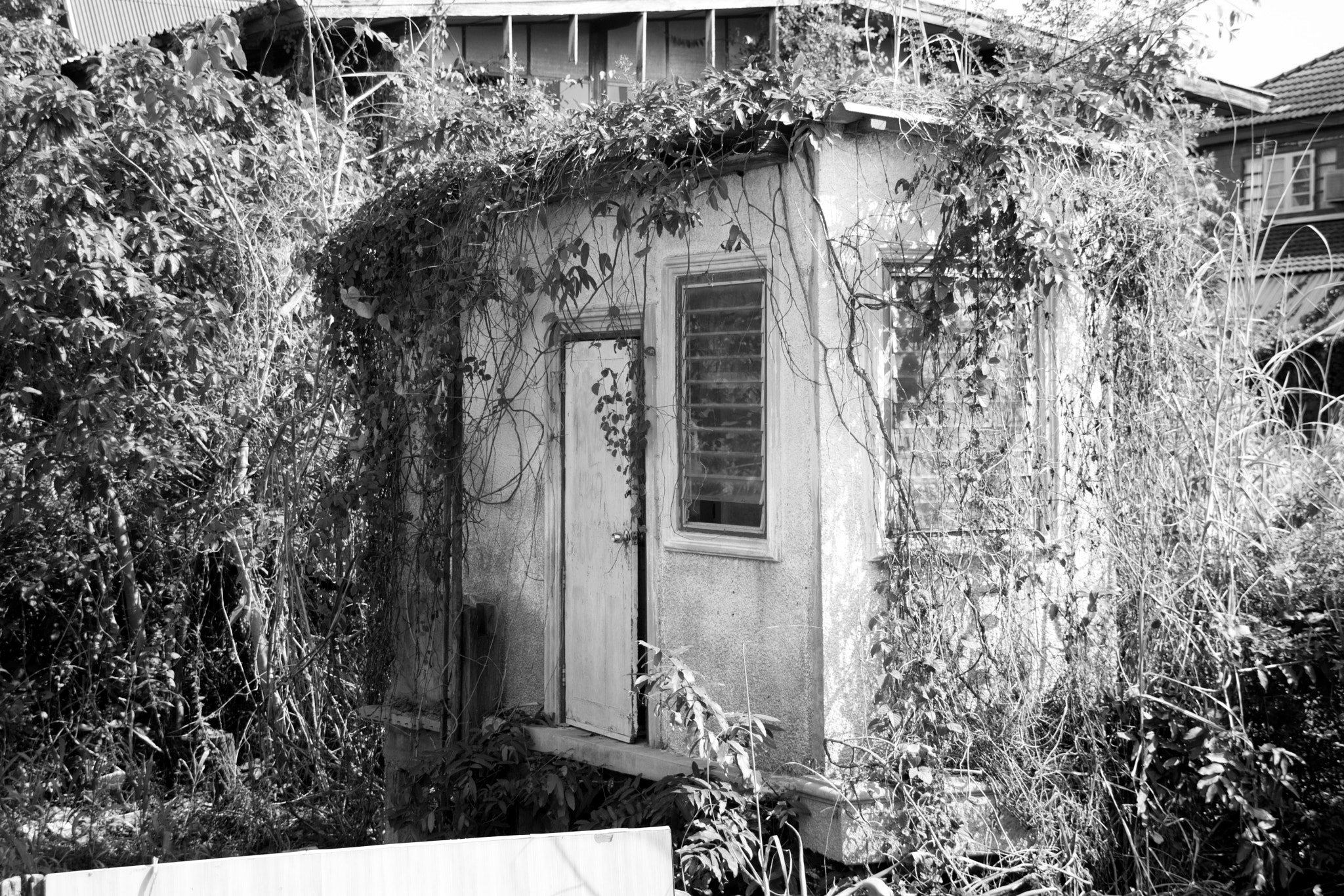 Nikon D500 sample photo. Tool shed photography