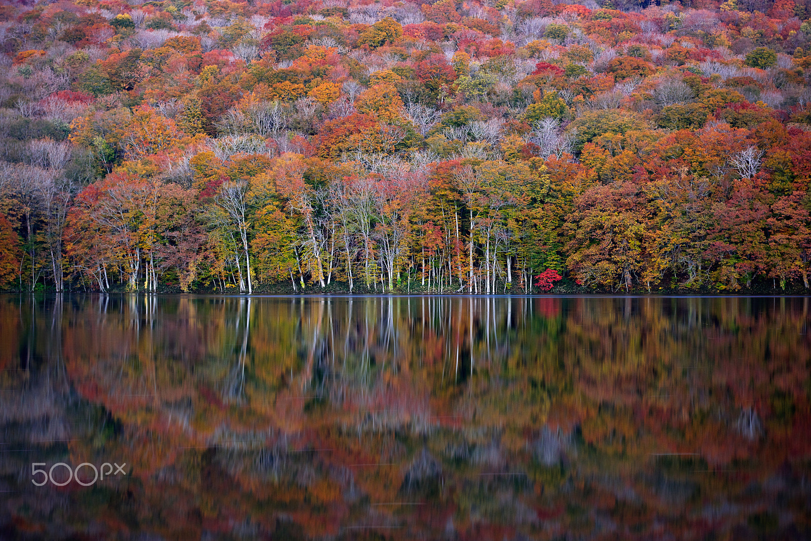 Nikon AF-S Nikkor 24-70mm F2.8G ED sample photo. Silence -tsutanuma- photography