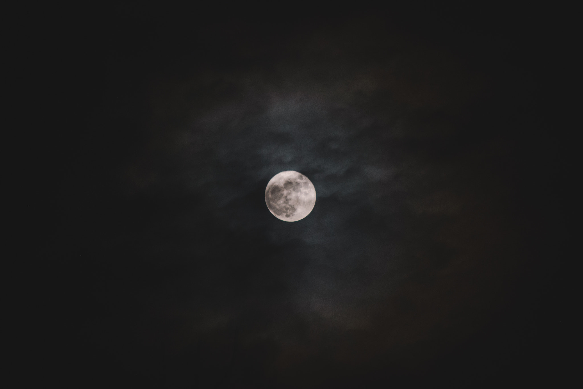 Nikon D40X sample photo. Brightmoon photography
