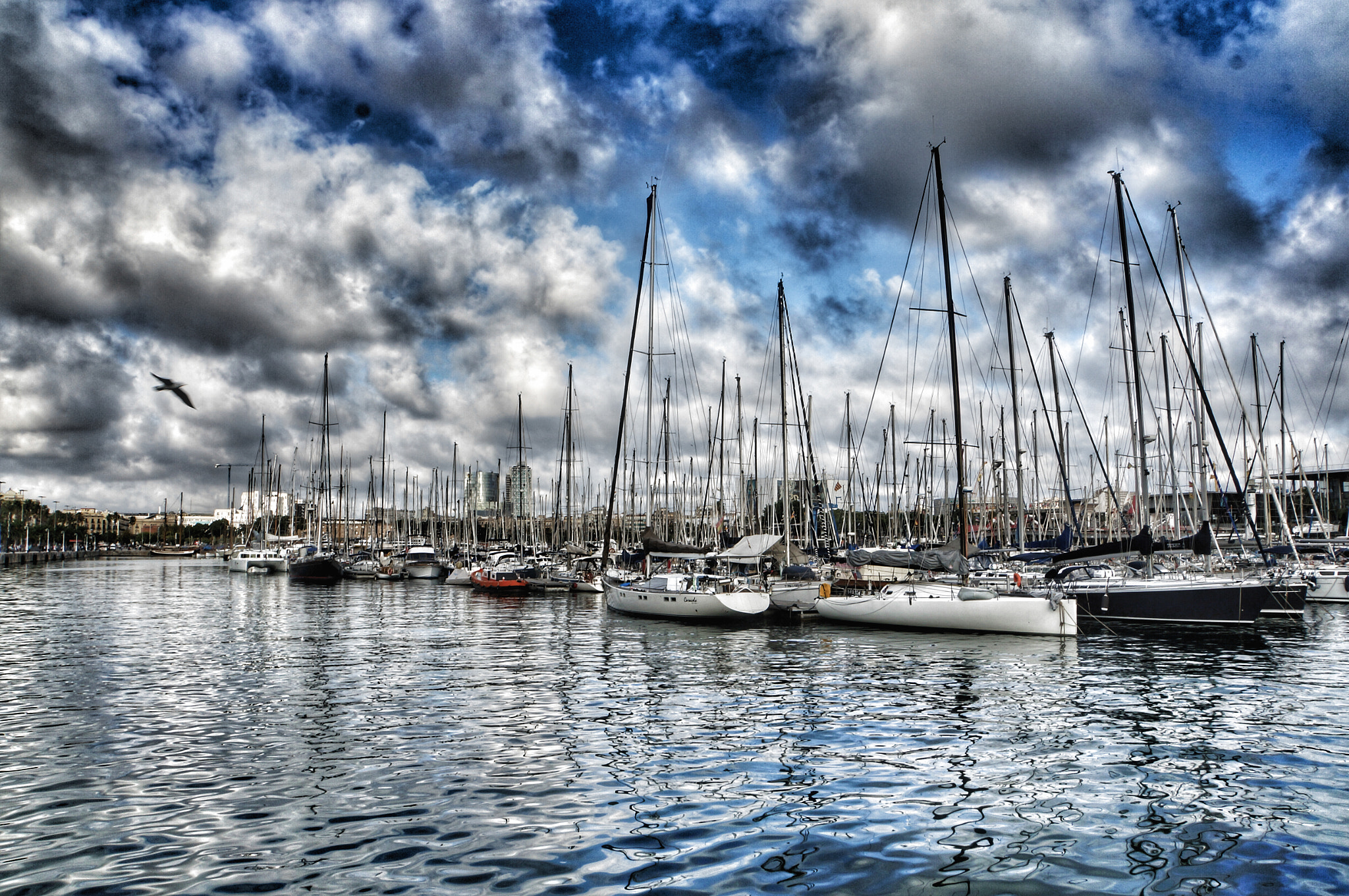 Sony E 18-200mm F3.5-6.3 OSS LE sample photo. Safe harbour photography