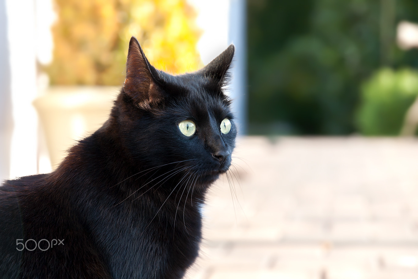 Canon EF 24-105mm F3.5-5.6 IS STM sample photo. Fips portrait photography