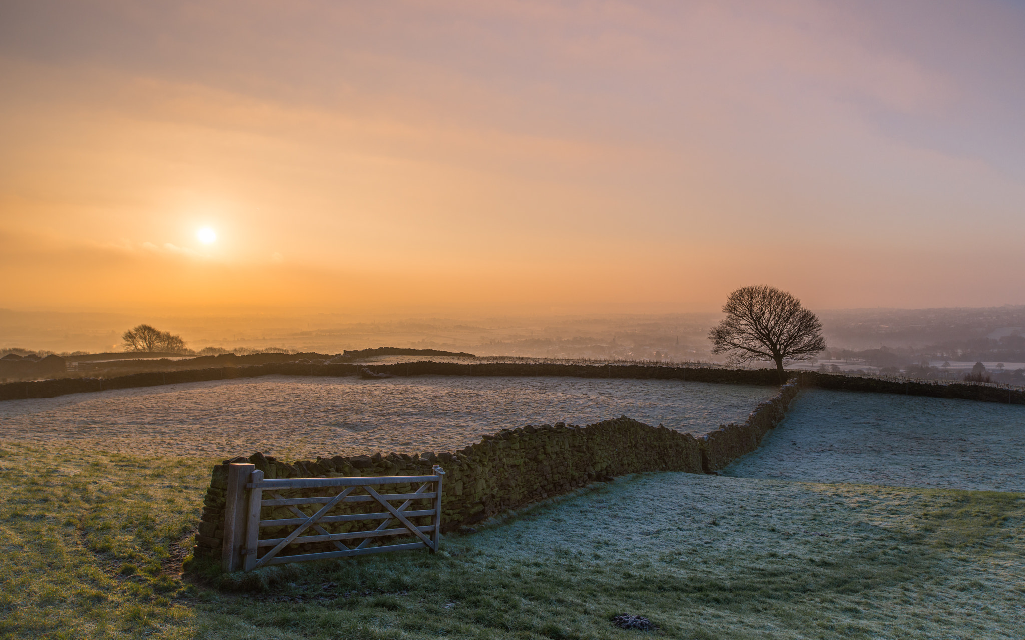 Nikon D800 + Nikon PC-E Nikkor 24mm F3.5D ED Tilt-Shift sample photo. Wintry dawn photography