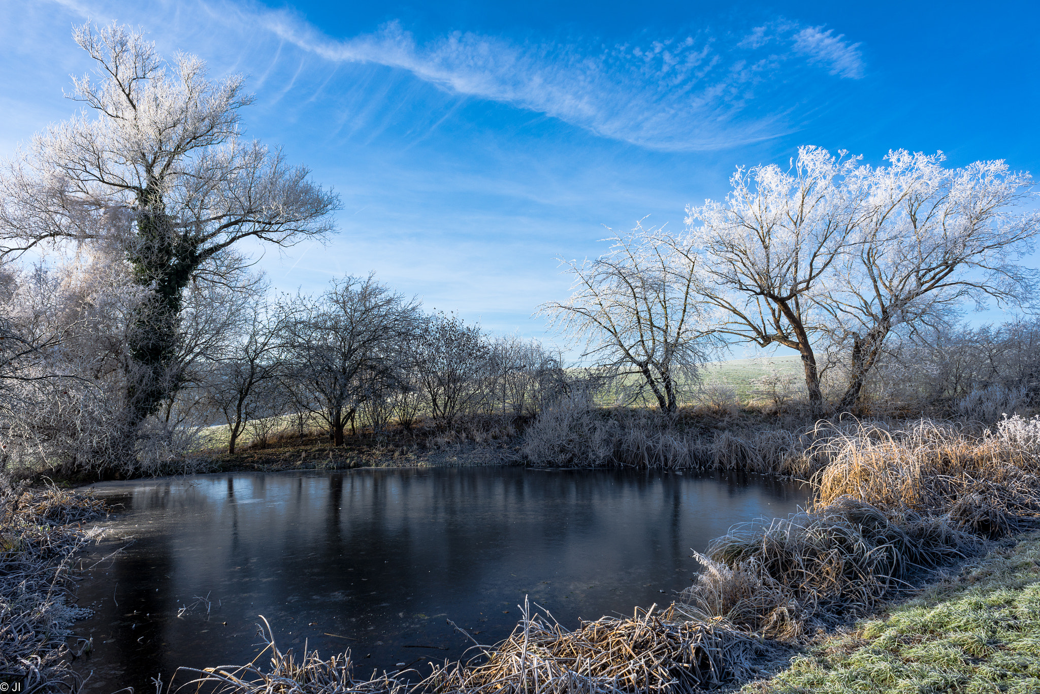 Nikon D600 + Nikon AF Nikkor 20mm F2.8D sample photo. Jackfrostarrived photography