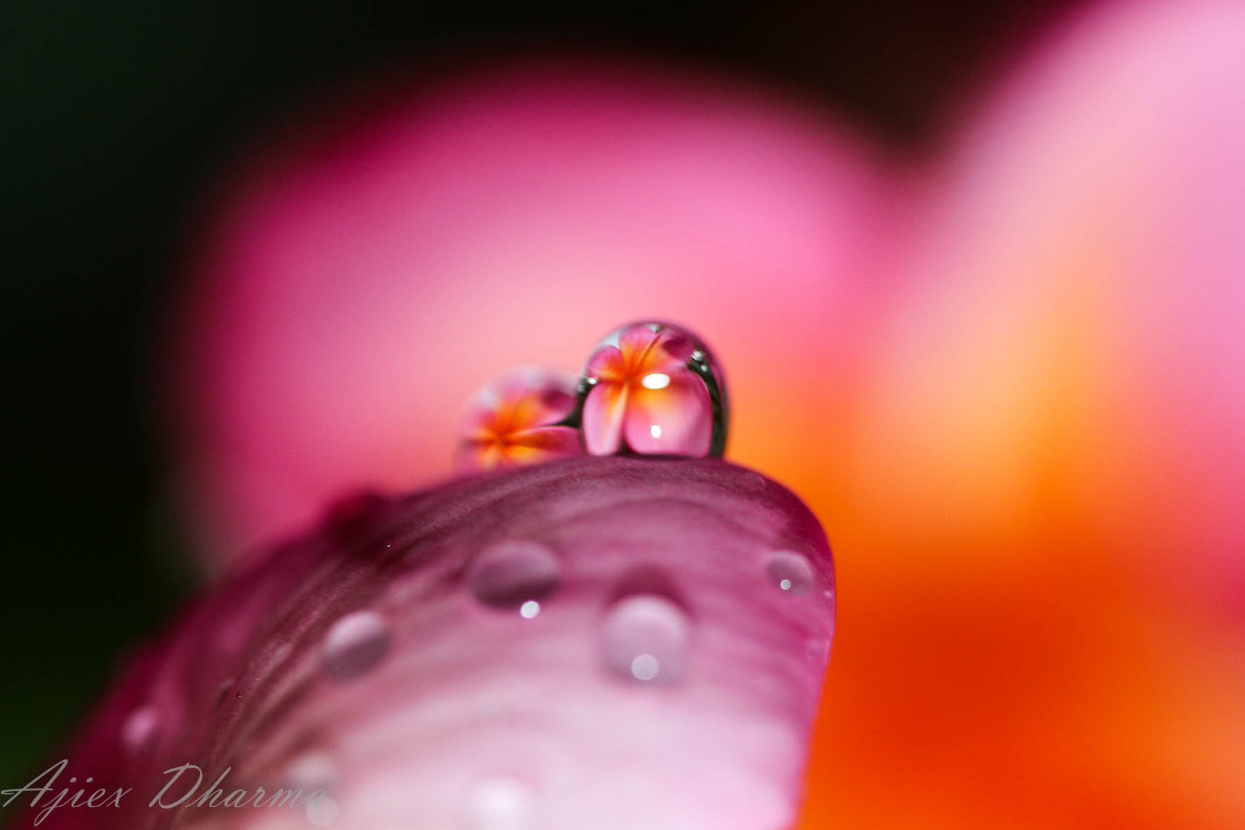 Canon EF-S 60mm F2.8 Macro USM sample photo. Bubbles  photography