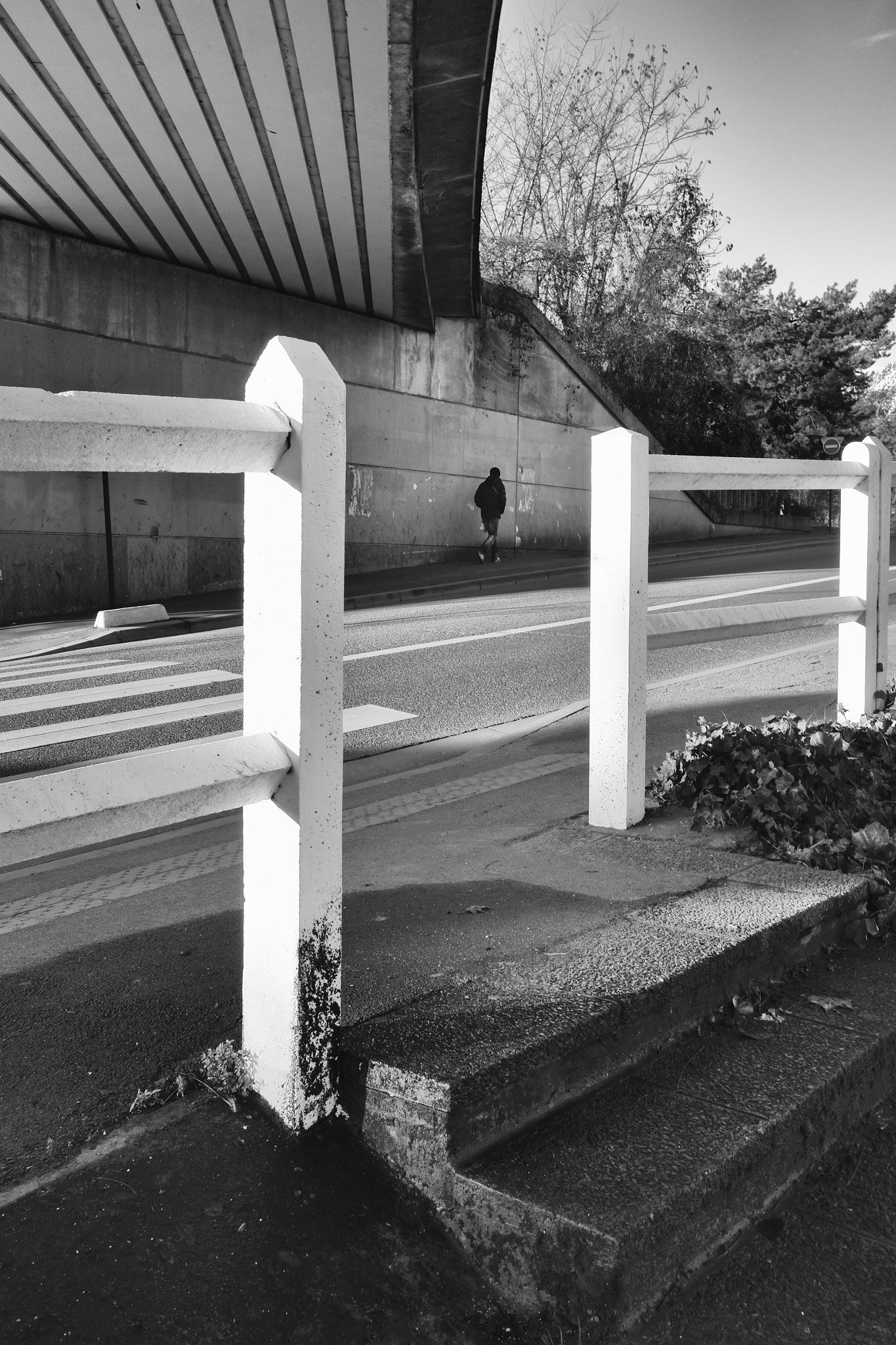 Fujifilm X-Pro1 + Fujifilm XF 23mm F2 R WR sample photo. Stripes photography