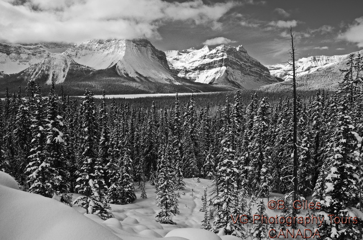 Pentax K-5 IIs sample photo. Hector lake photography