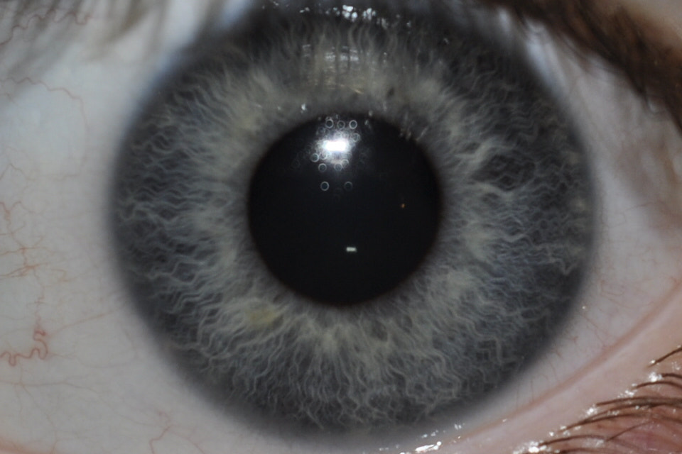 Nikon D5000 sample photo. Eye photography