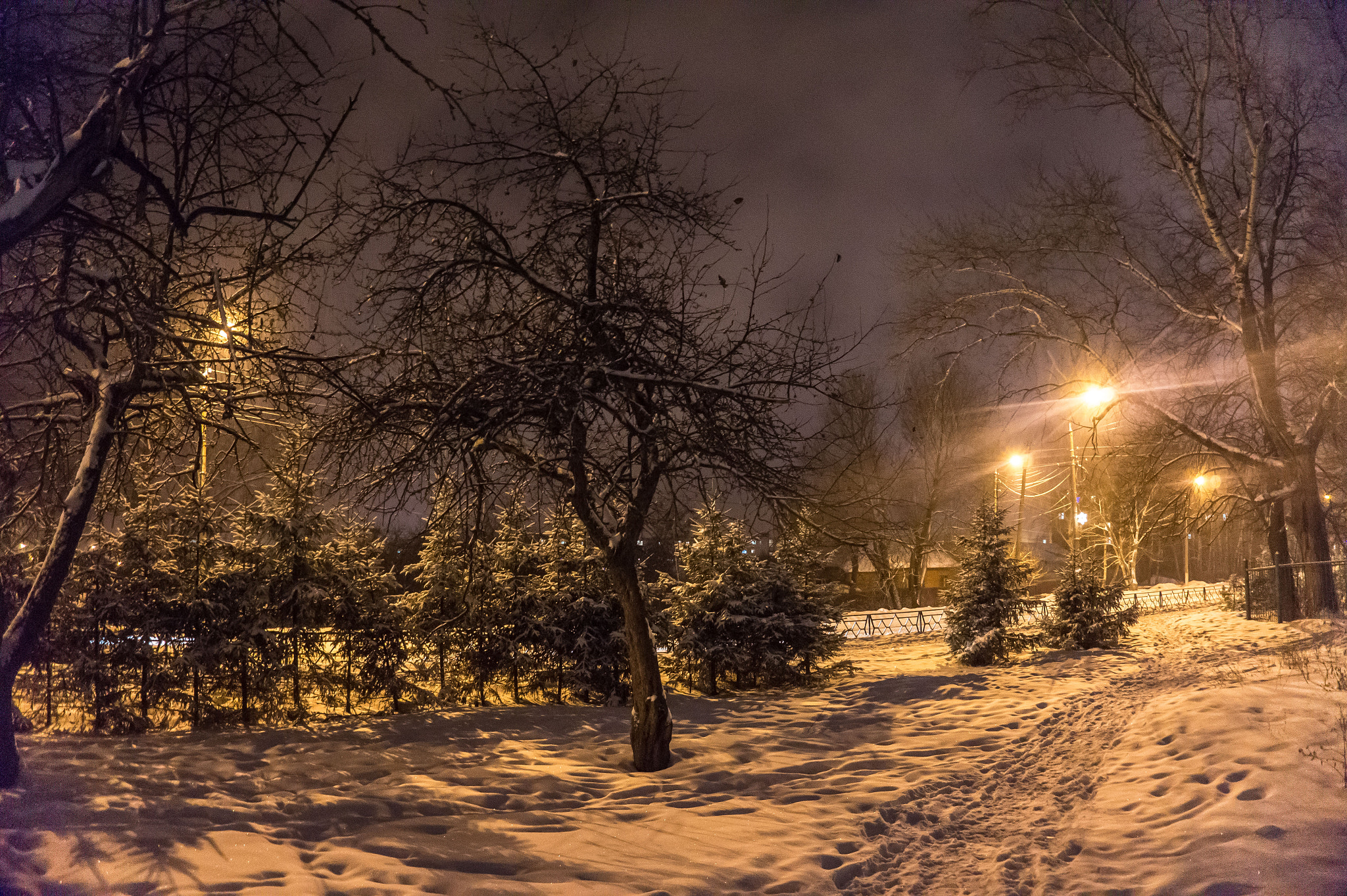 E 18-50mm F4-5.6 sample photo. с photography
