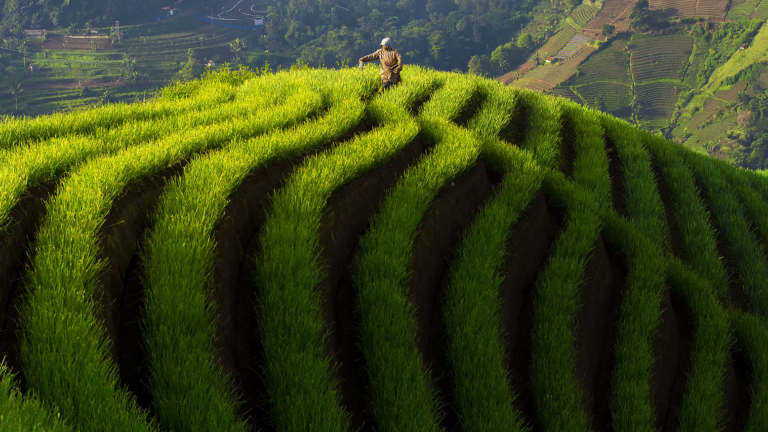 Canon EF 70-200mm F2.8L USM sample photo. Pattern of argapura majalengka  photography