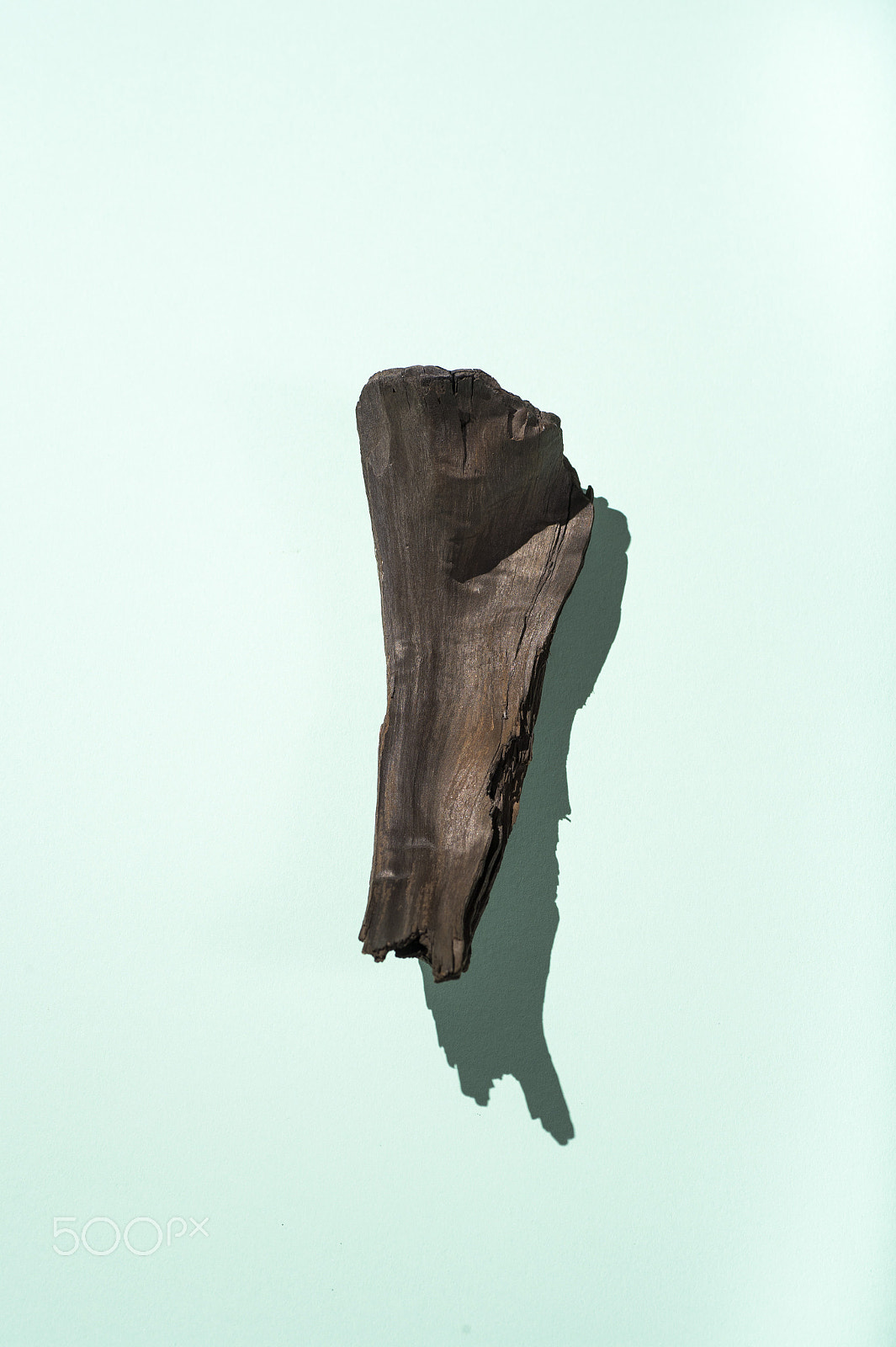 Nikon D4 sample photo. Abstract still life photography