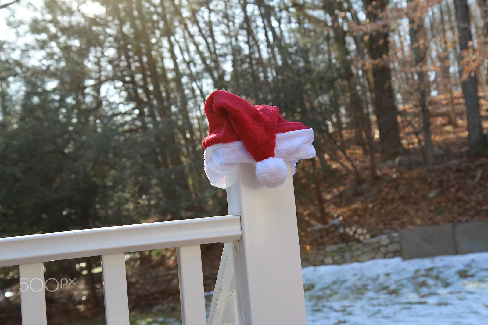 Canon EF-S 17-55mm F2.8 IS USM sample photo. Santa hat by woods -one img photography