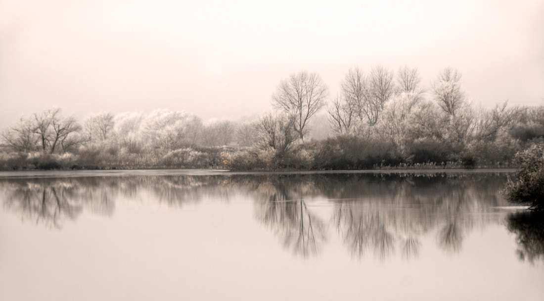 Sony Alpha DSLR-A550 sample photo. Misty morning photography