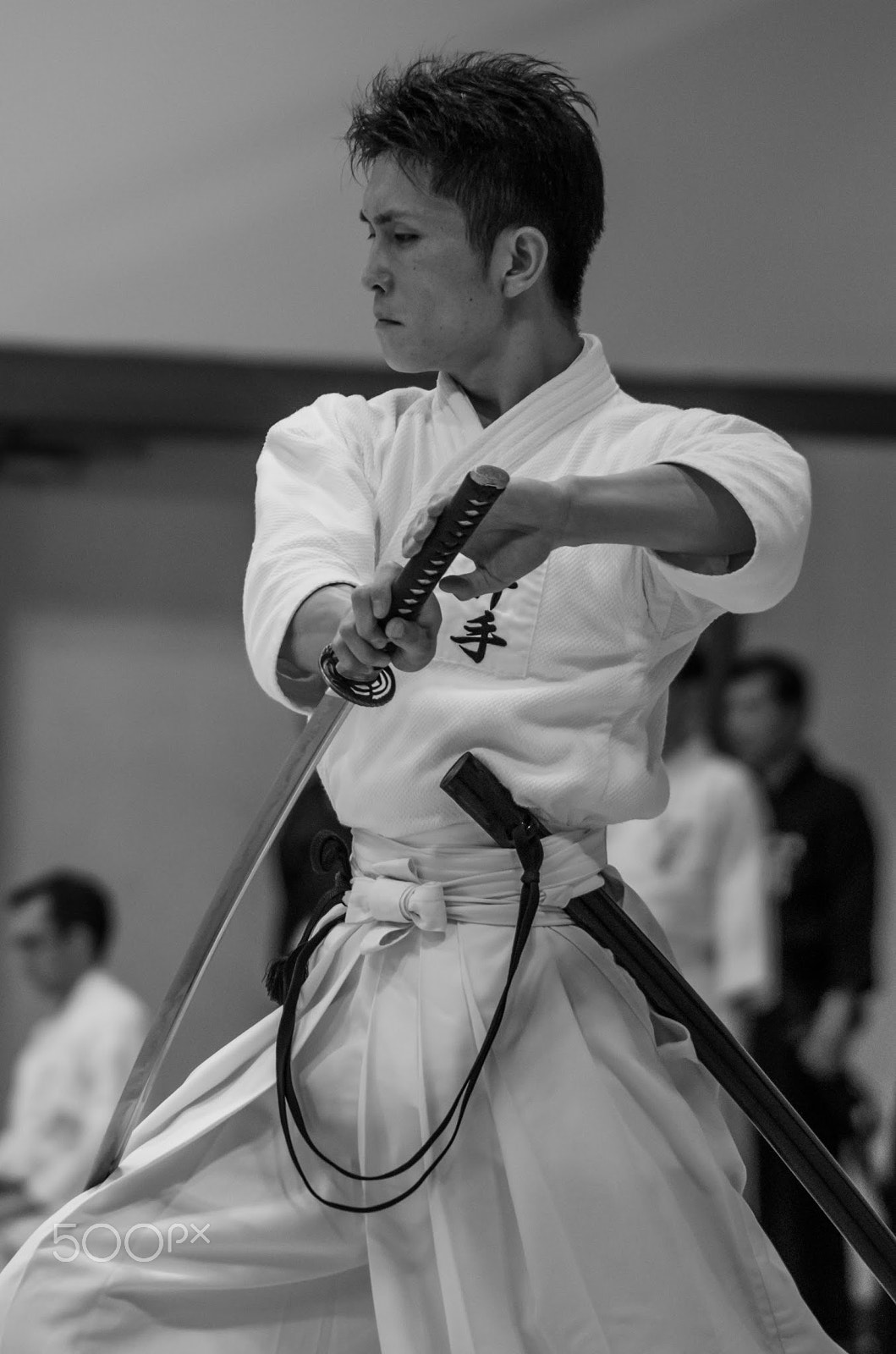 Tamron AF 70-300mm F4-5.6 LD Macro 1:2 sample photo. 翼あらば千里の外も飛めぐりよろづの国を見んとしぞ思ふ photography