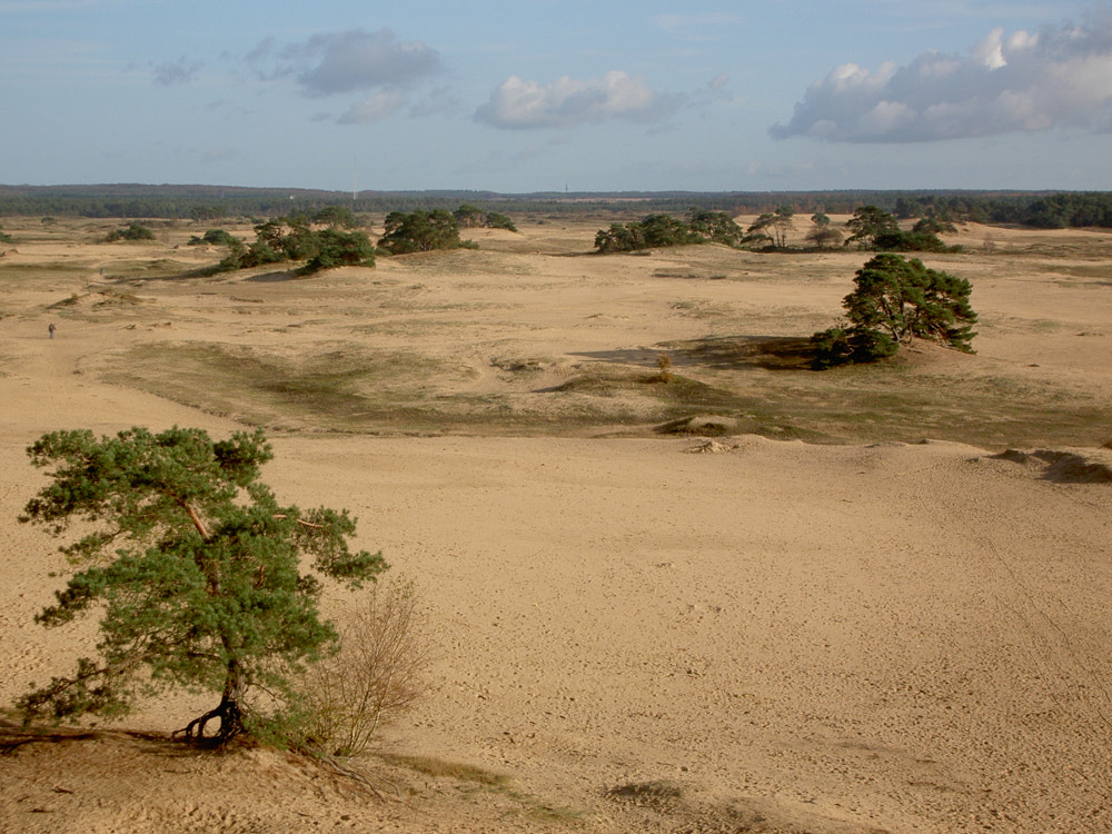 KONICA MINOLTA DiMAGE G400 sample photo. A lot of sand photography