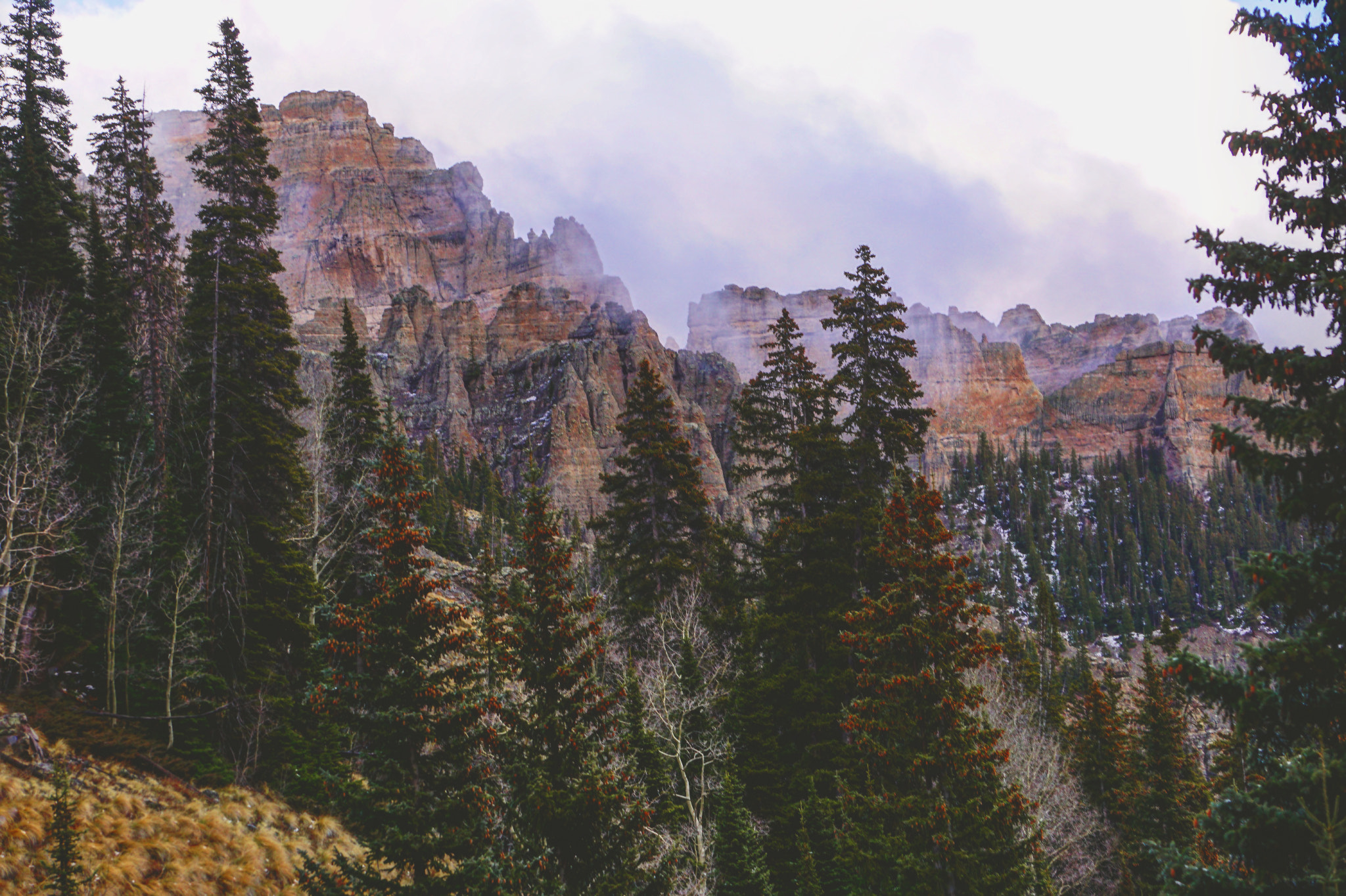 Sony FE 24-240mm F3.5-6.3 OSS sample photo. Changing of the seasons in colorado photography