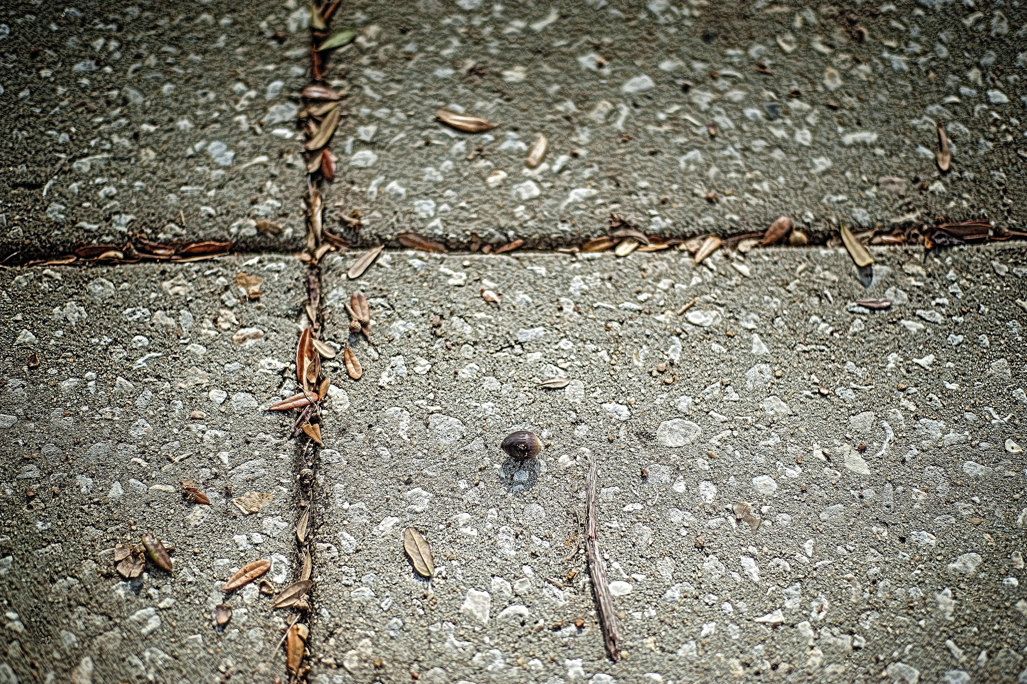 Nikon D3 + Nikon AF Nikkor 50mm F1.8D sample photo. Sidewalk photography