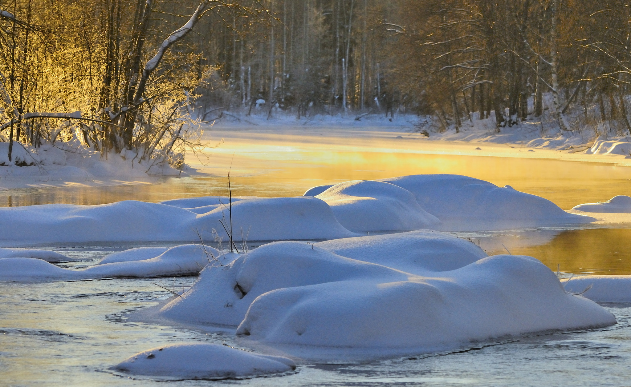 Nikon D5000 sample photo. Cold blue warm yellow mix photography