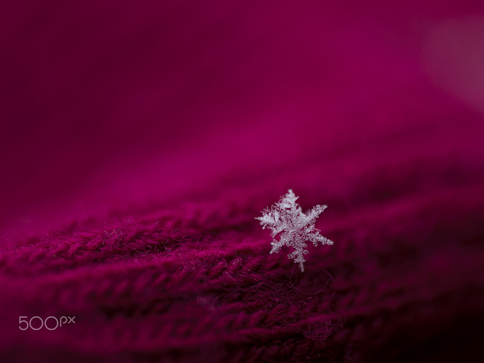 Samsung NX300 + Samsung NX 60mm F2.8 Macro ED OIS SSA sample photo. ... photography