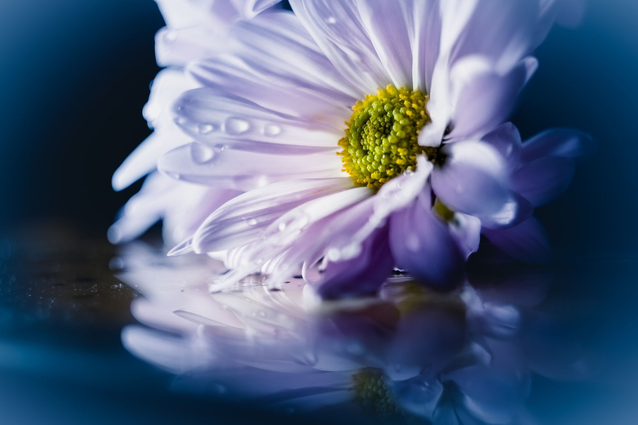 Canon EF 35-80mm f/4-5.6 sample photo. ... photography