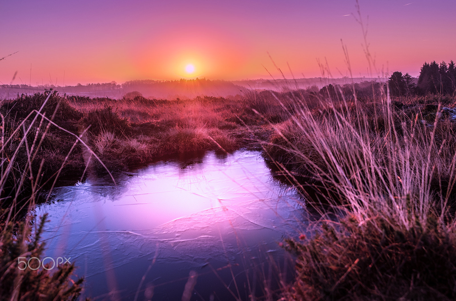 Nikon D500 sample photo. Morning walk photography