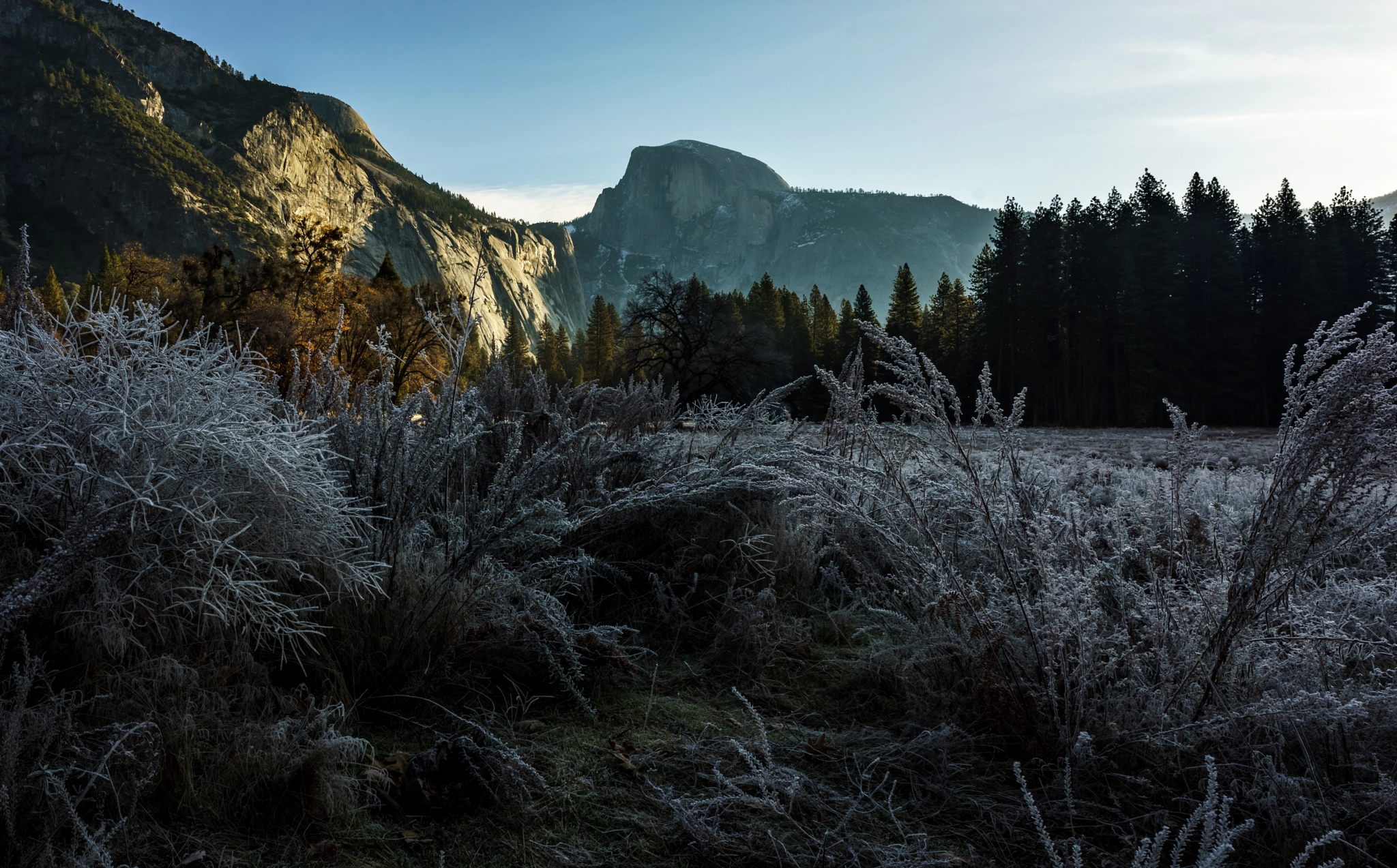 Sony a7R + E 21mm F2.8 sample photo. Morning frost photography