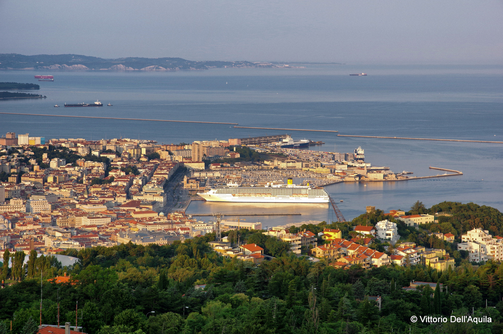 Sigma 17-70mm F2.8-4 DC Macro HSM | C sample photo. Trieste photography