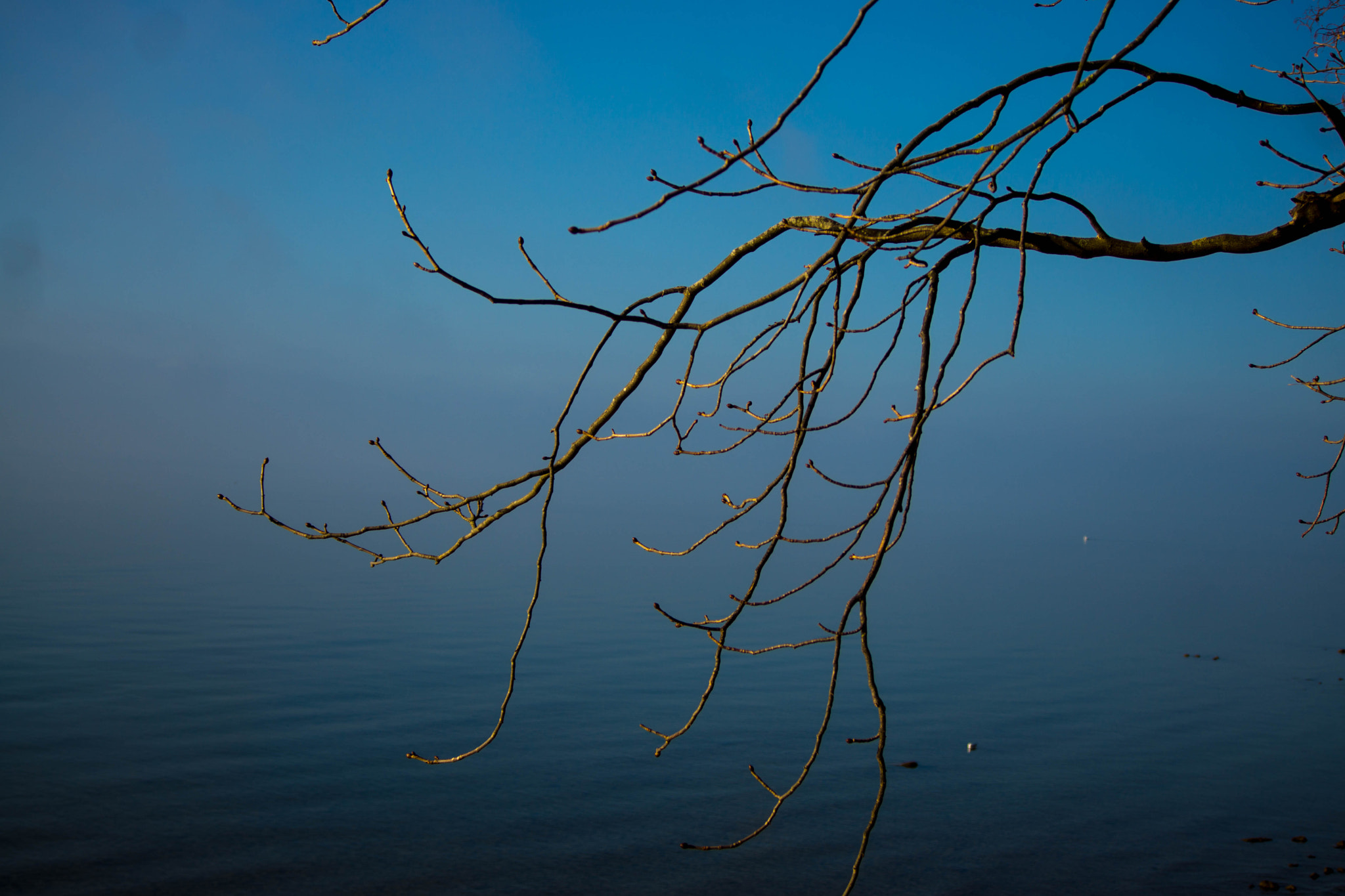 Minolta AF 35-105mm F3.5-4.5 sample photo. Bodensee wie meer photography