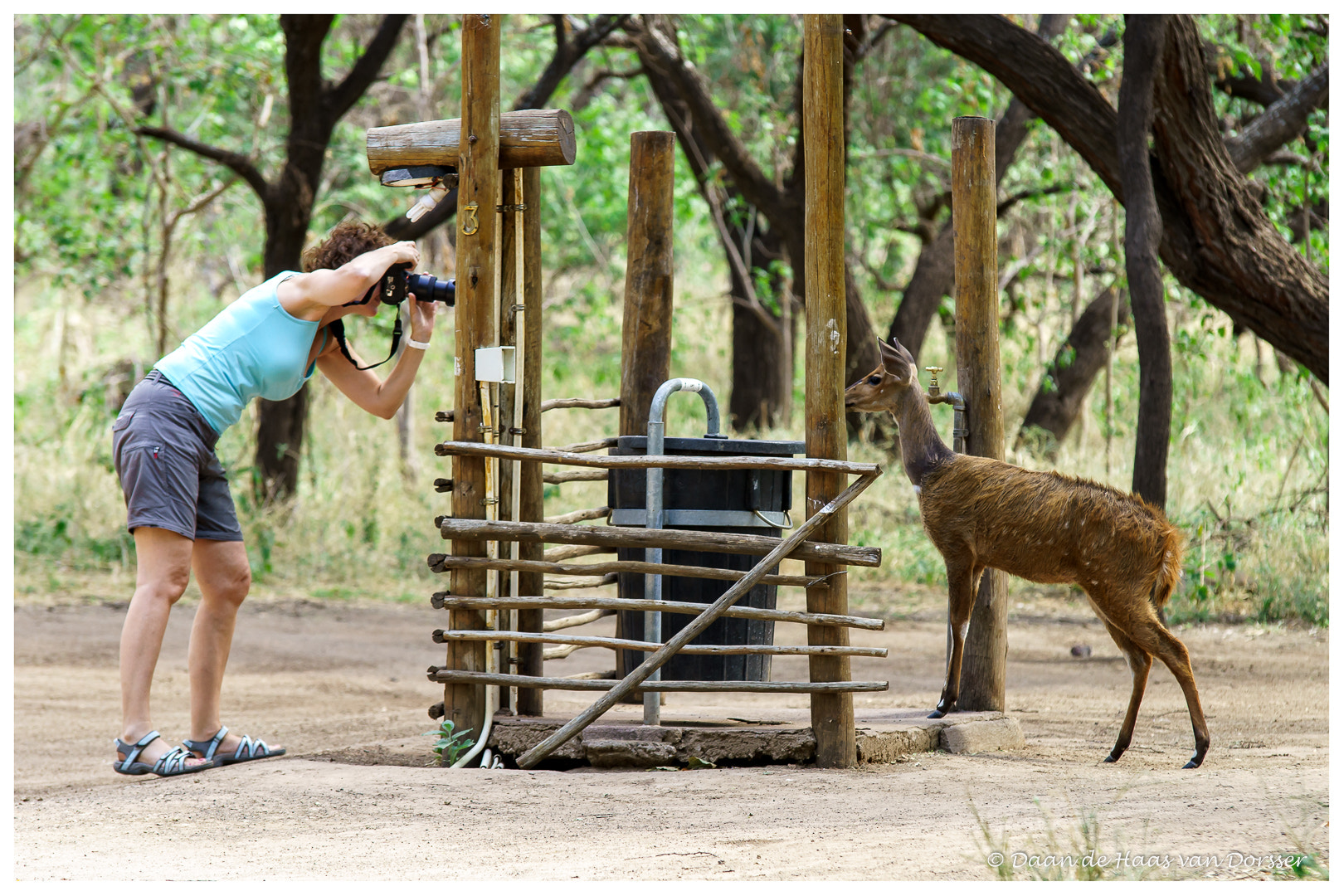 Sony a99 II sample photo. Who's watching who? photography