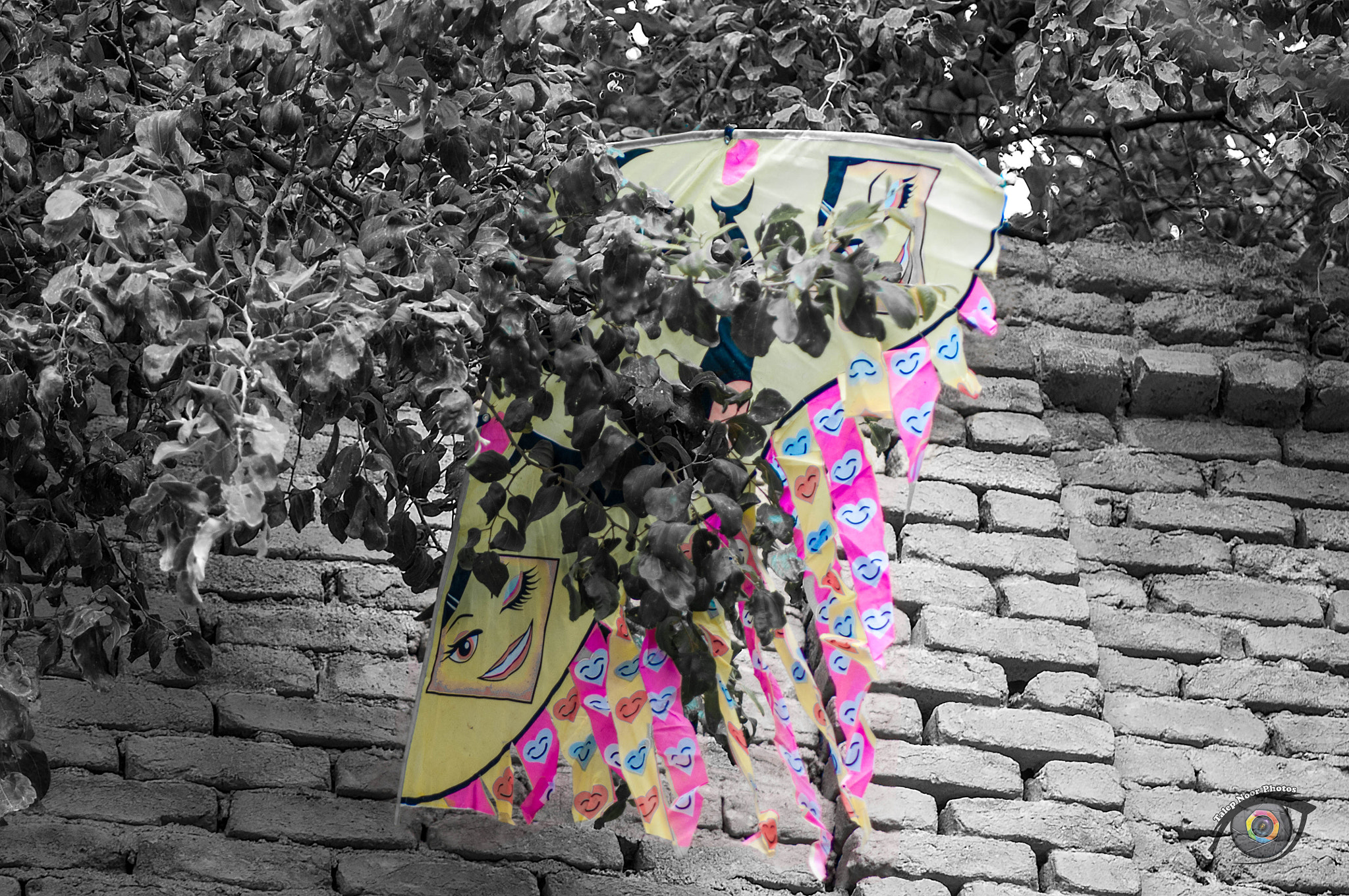 Nikon D300S sample photo. Rrr photography