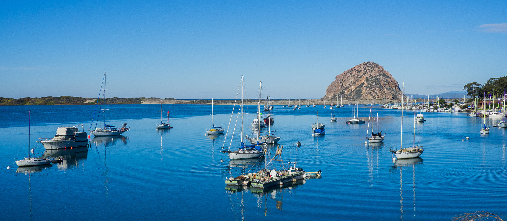Olympus OM-D E-M10 + LUMIX G 20/F1.7 II sample photo. Morro bay photography