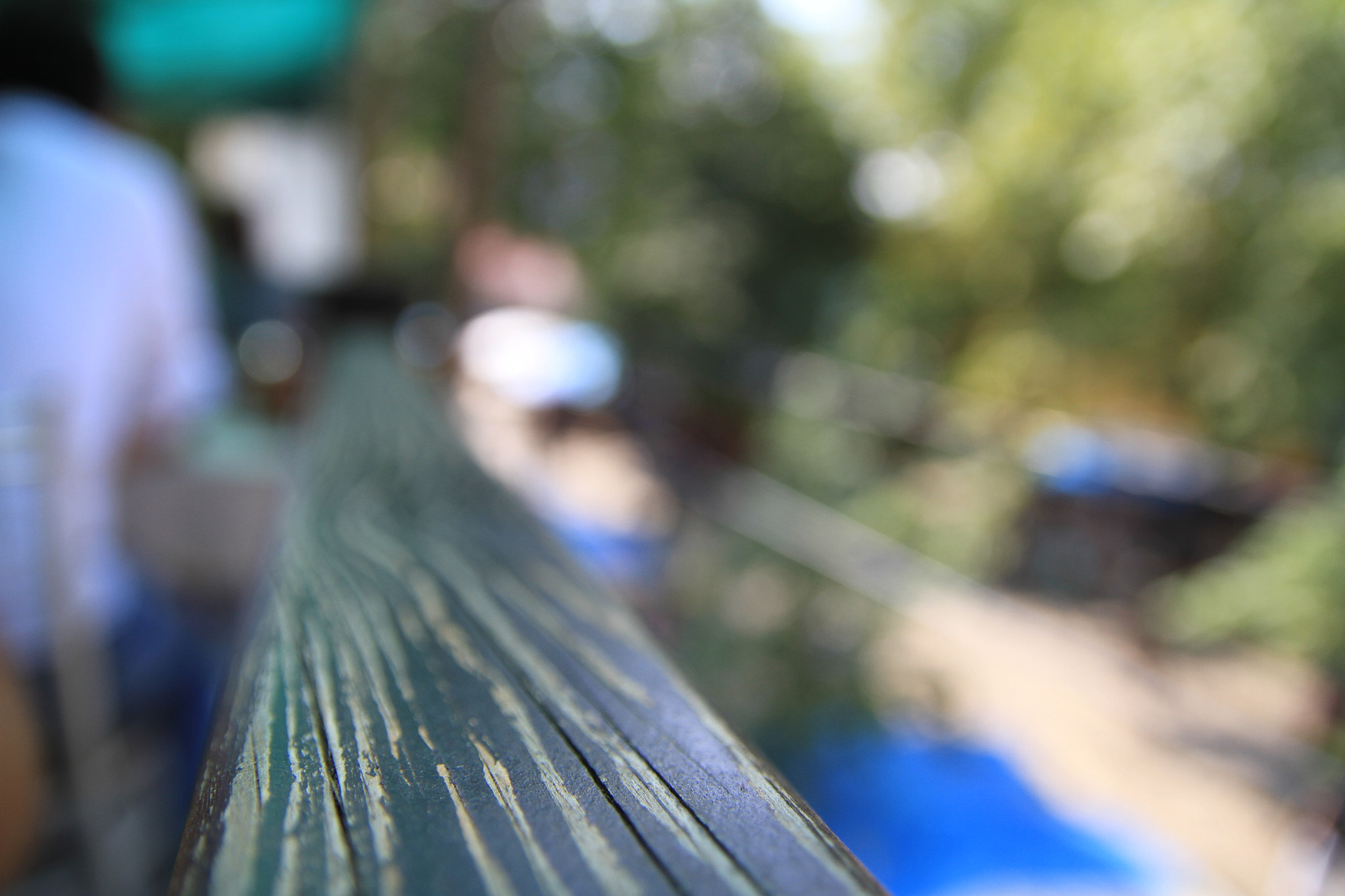 Canon EOS 7D + Sigma 18-50mm f/2.8 Macro sample photo
