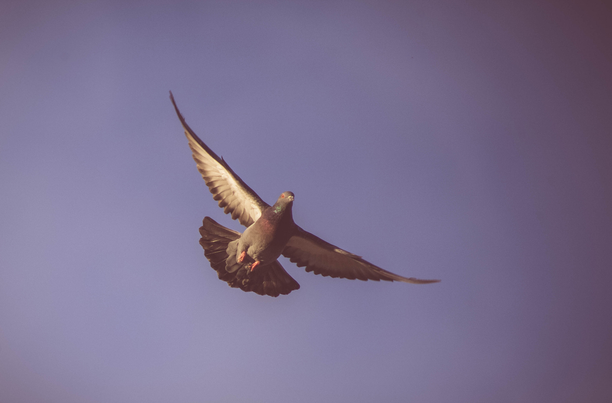 EF75-300mm f/4-5.6 sample photo. Mg photography