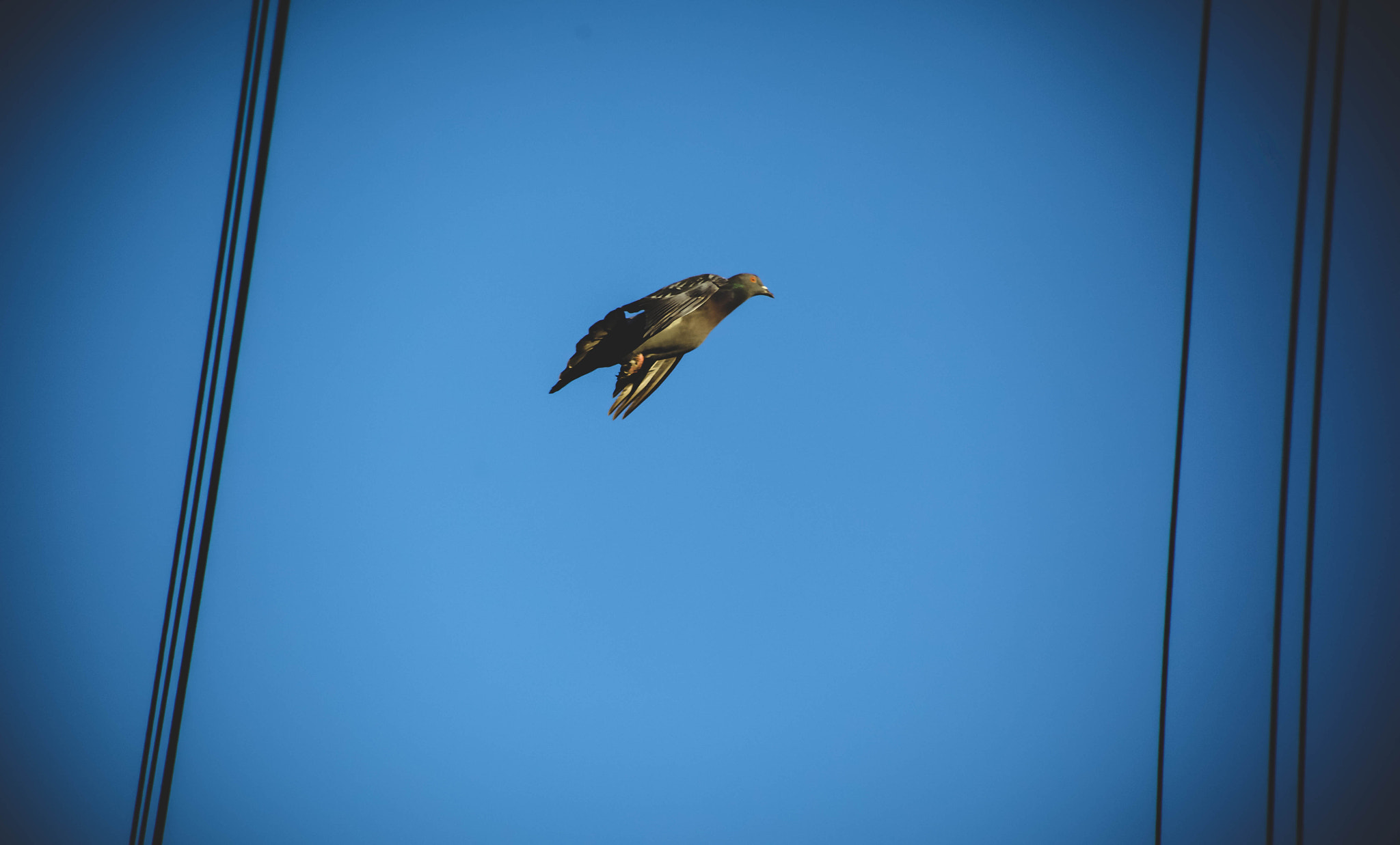 EF75-300mm f/4-5.6 sample photo. Mg photography