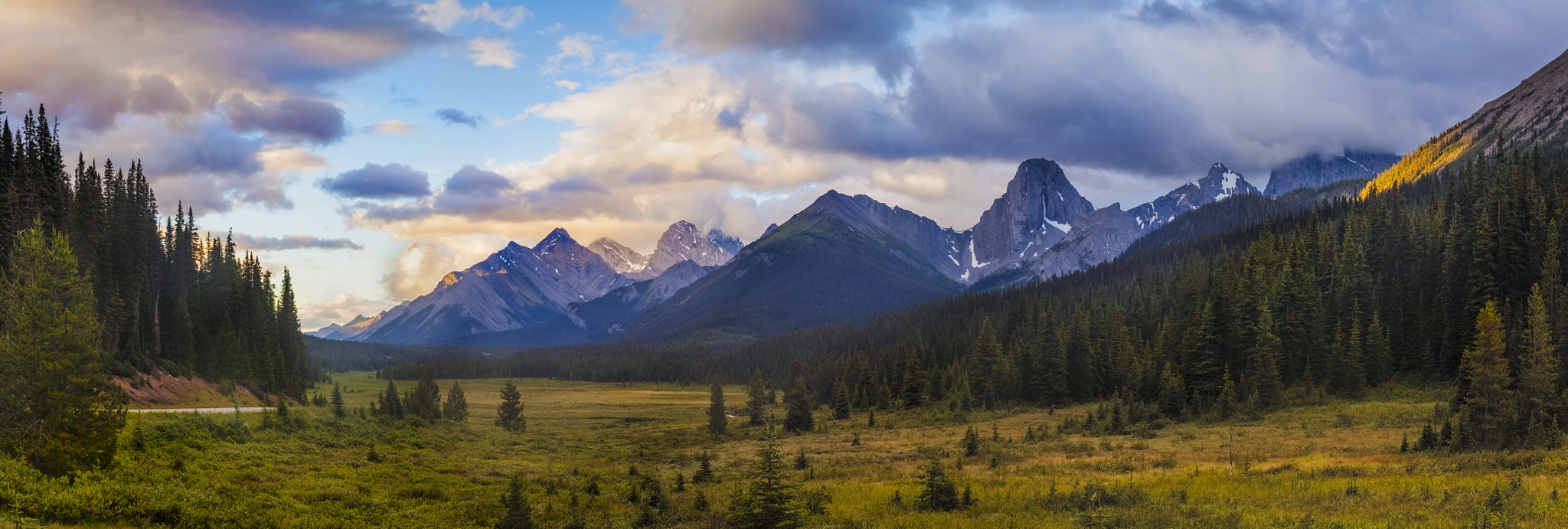 Canon TS-E 90mm F2.8 Tilt-Shift sample photo. Engadine meadows photography