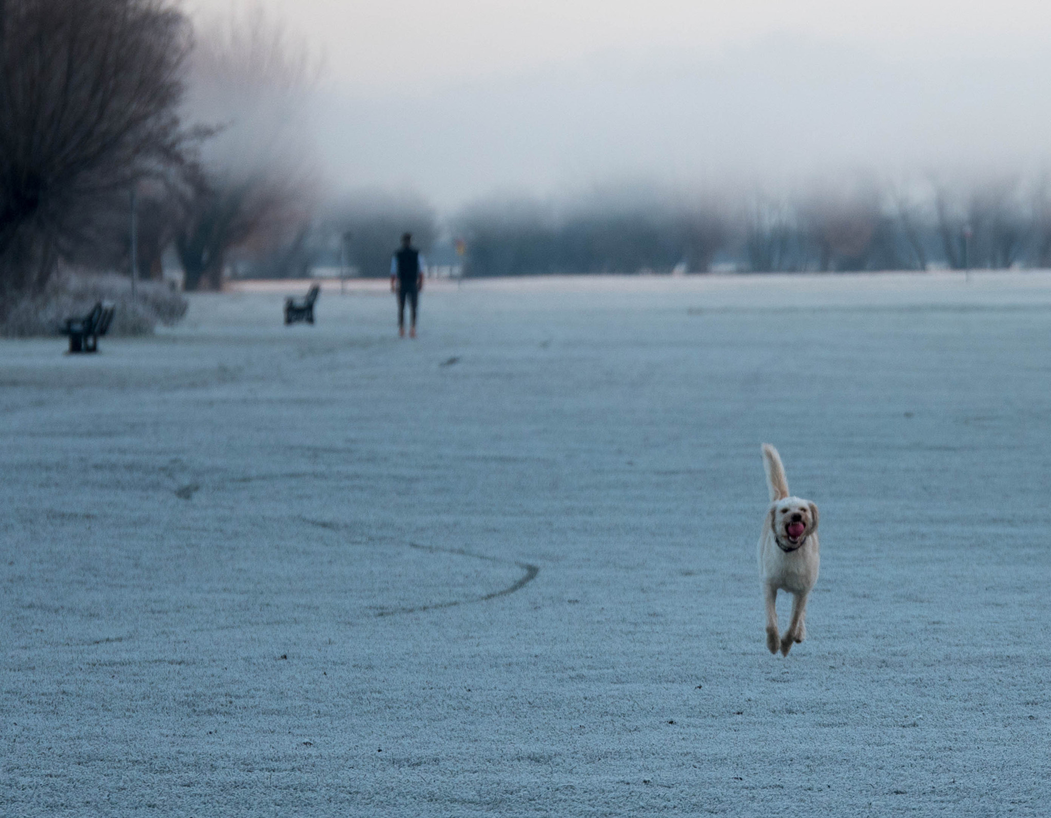 Panasonic Lumix DMC-GH4 + Panasonic Lumix G X Vario 35-100mm F2.8 OIS sample photo. Walking by the river photography