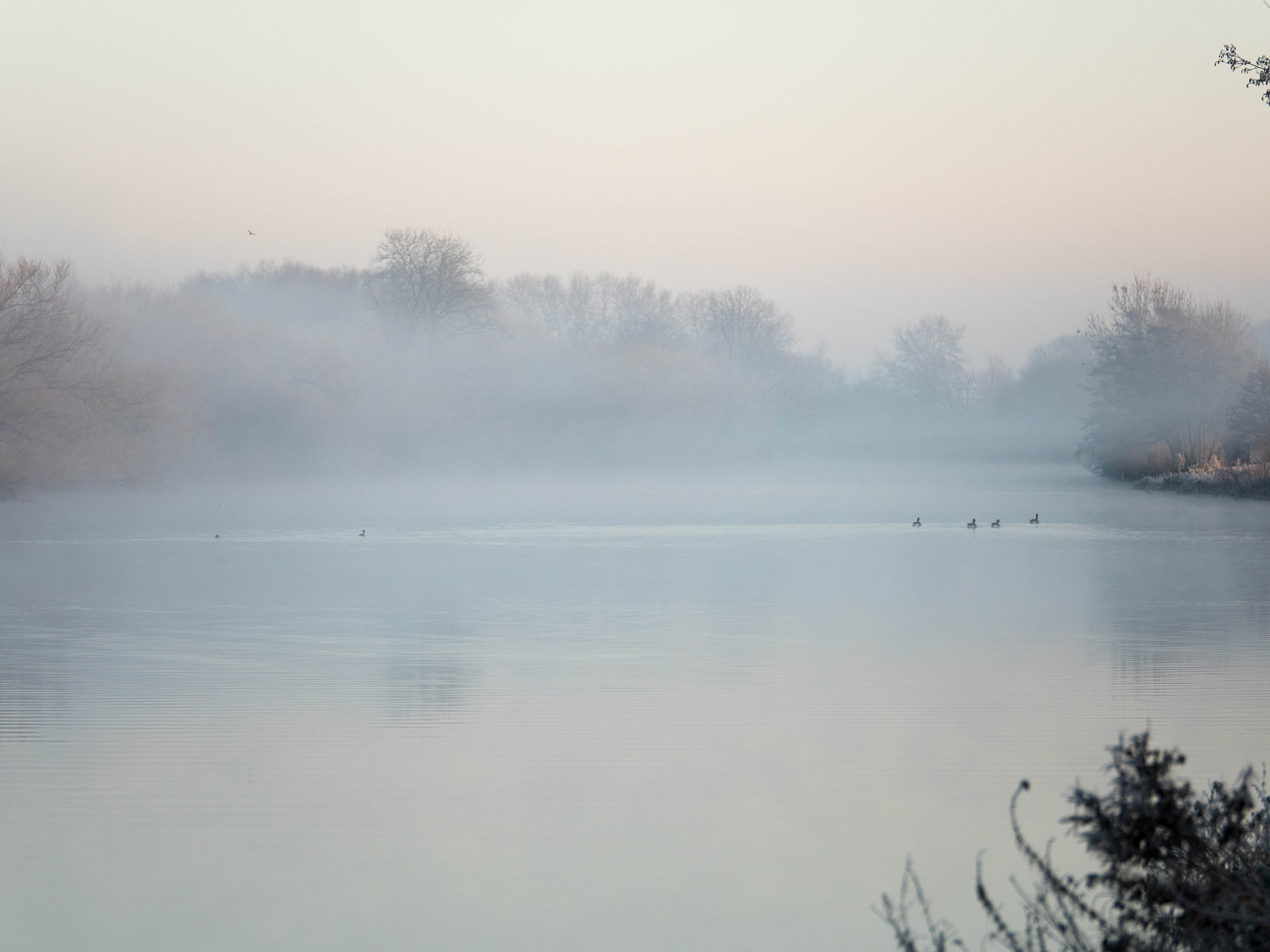 Panasonic Lumix DMC-GH4 + Panasonic Lumix G X Vario 35-100mm F2.8 OIS sample photo. Walking by the river photography