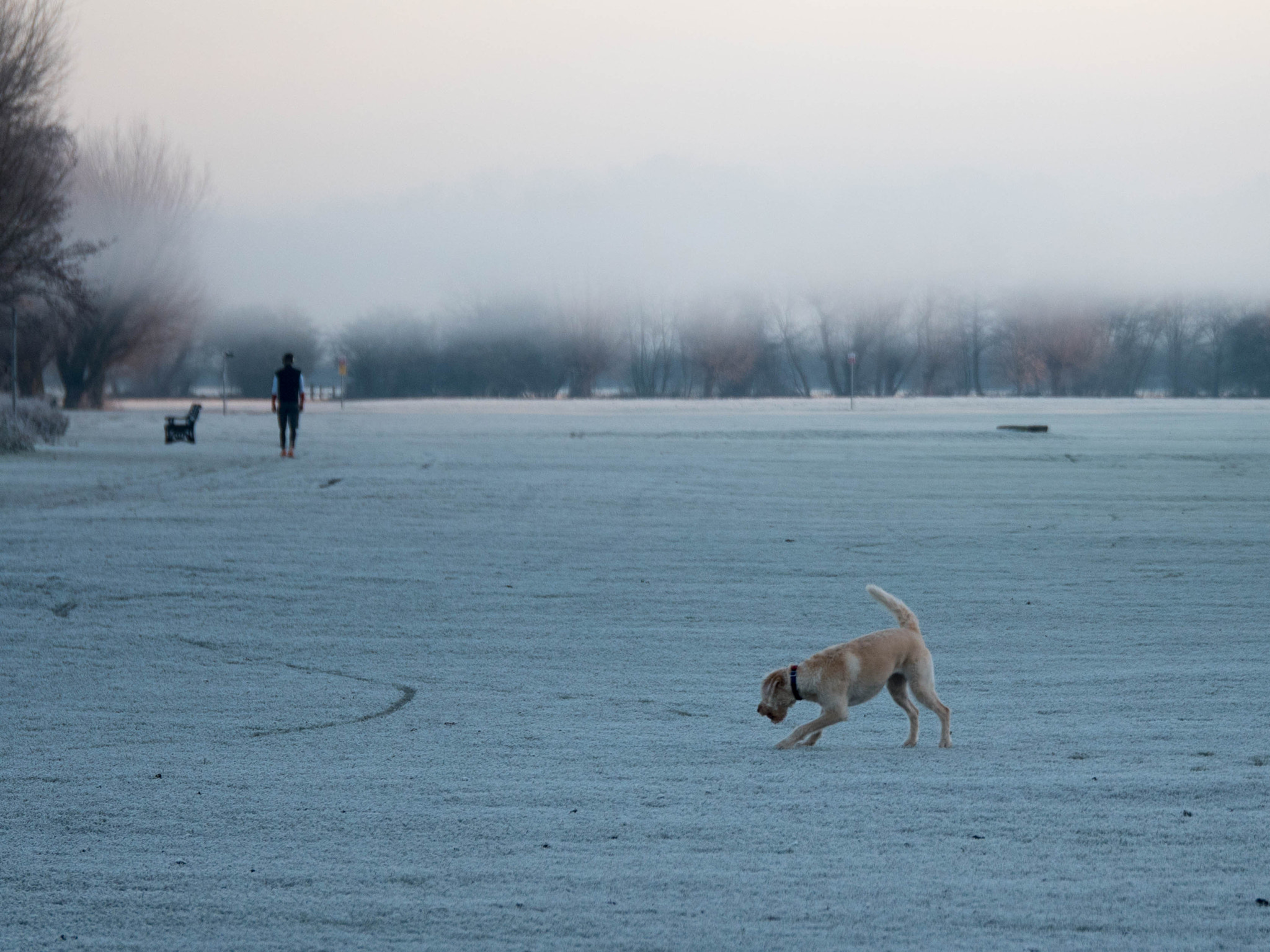 Panasonic Lumix G X Vario 35-100mm F2.8 OIS sample photo. Walking by the river photography