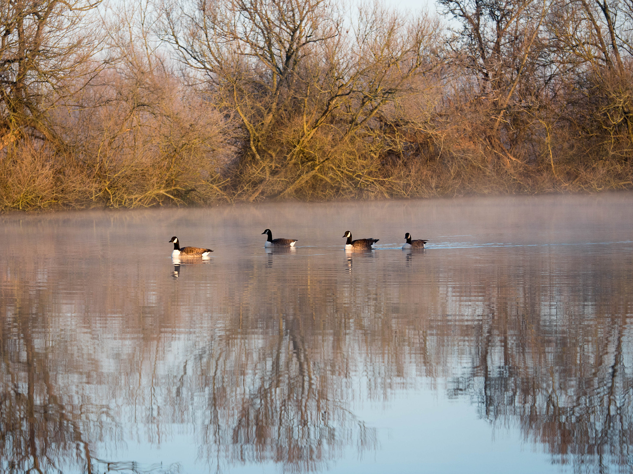 Panasonic Lumix G X Vario 35-100mm F2.8 OIS sample photo. Walking by the river photography