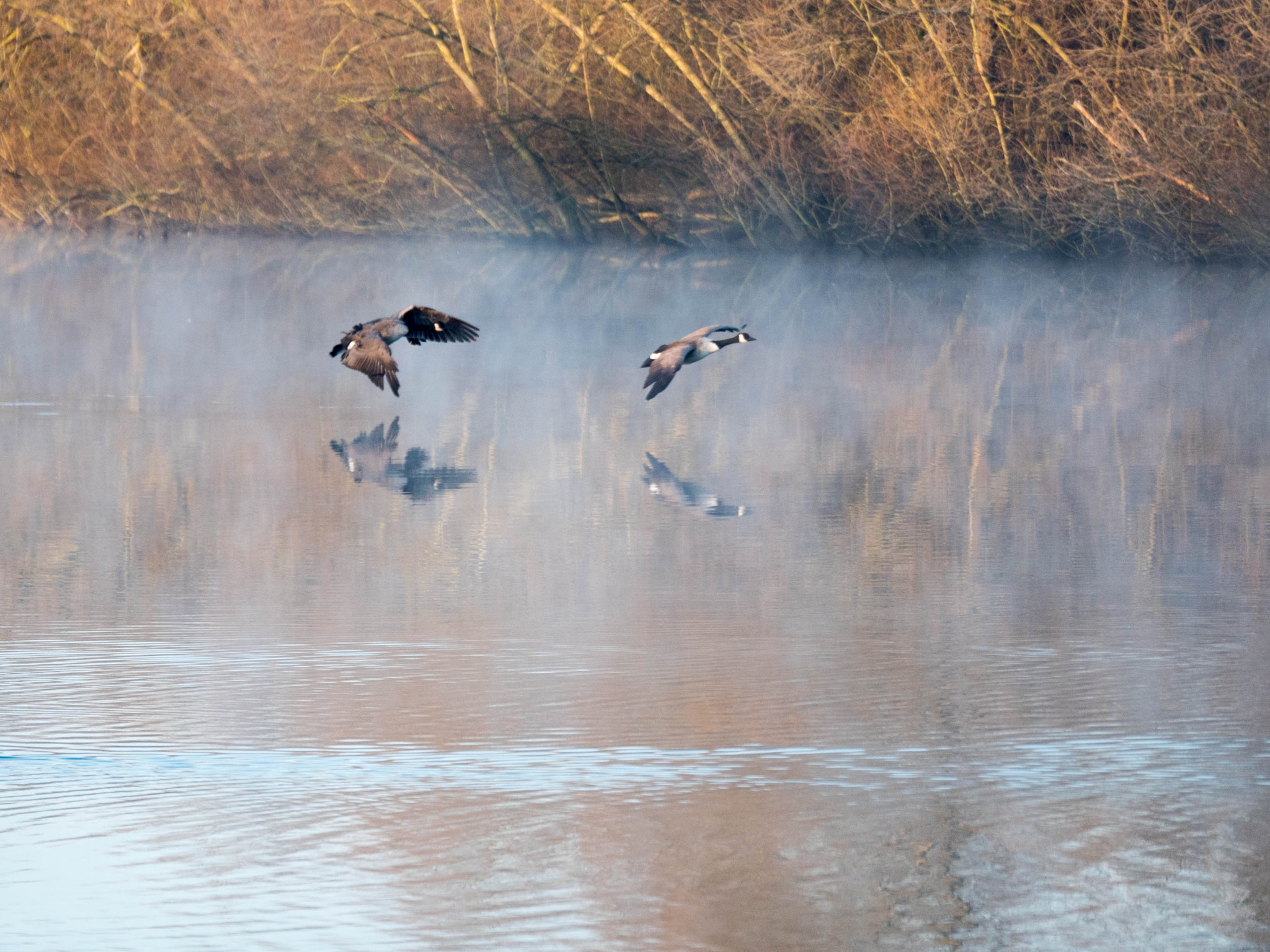 Panasonic Lumix G X Vario 35-100mm F2.8 OIS sample photo. Coming in to land photography