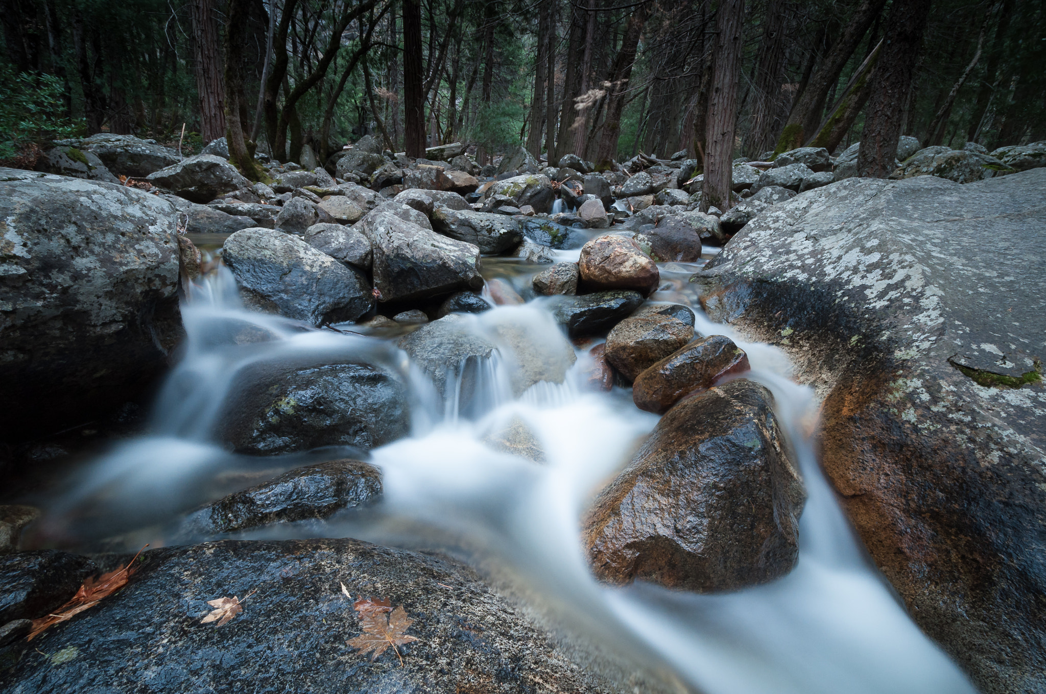 Nikon D5000 sample photo. Flow iii photography